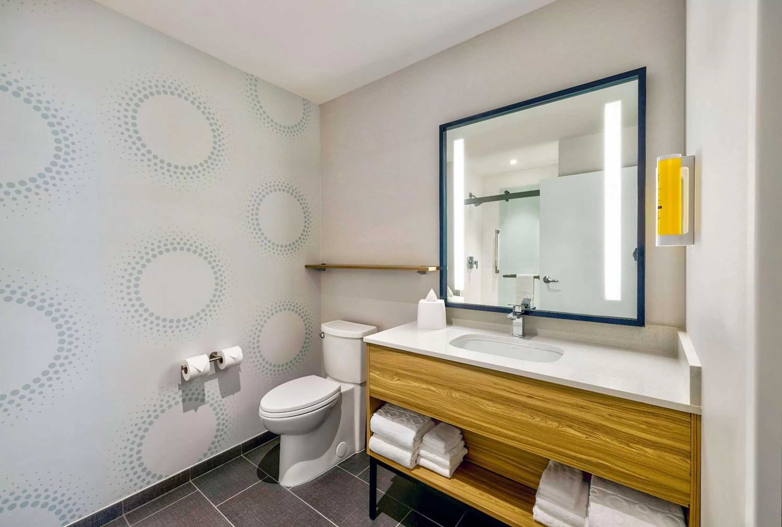 Bathroom in Tru By Hilton Minneapolis Downtown