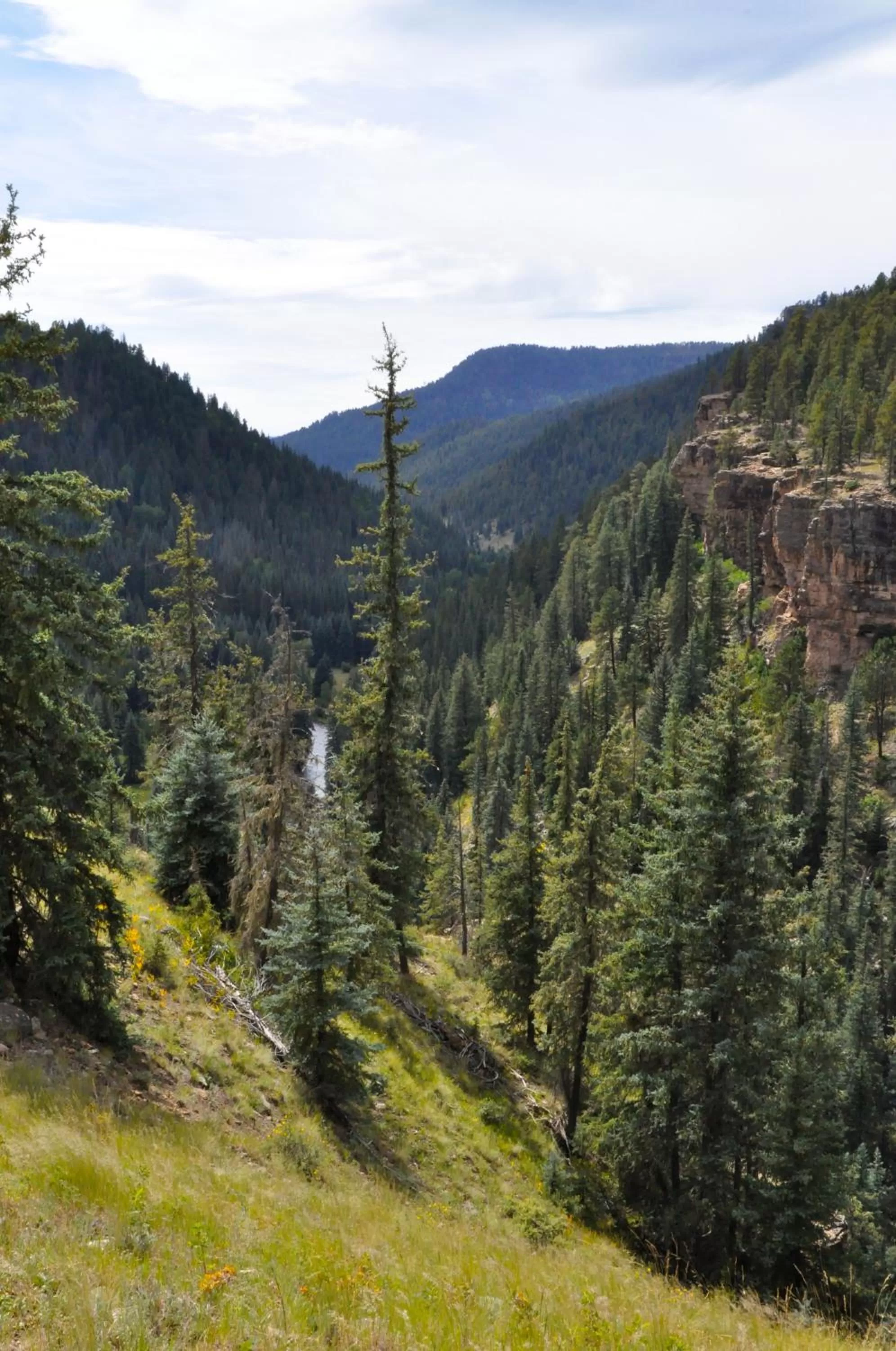 Mountain view in Alpine Inn