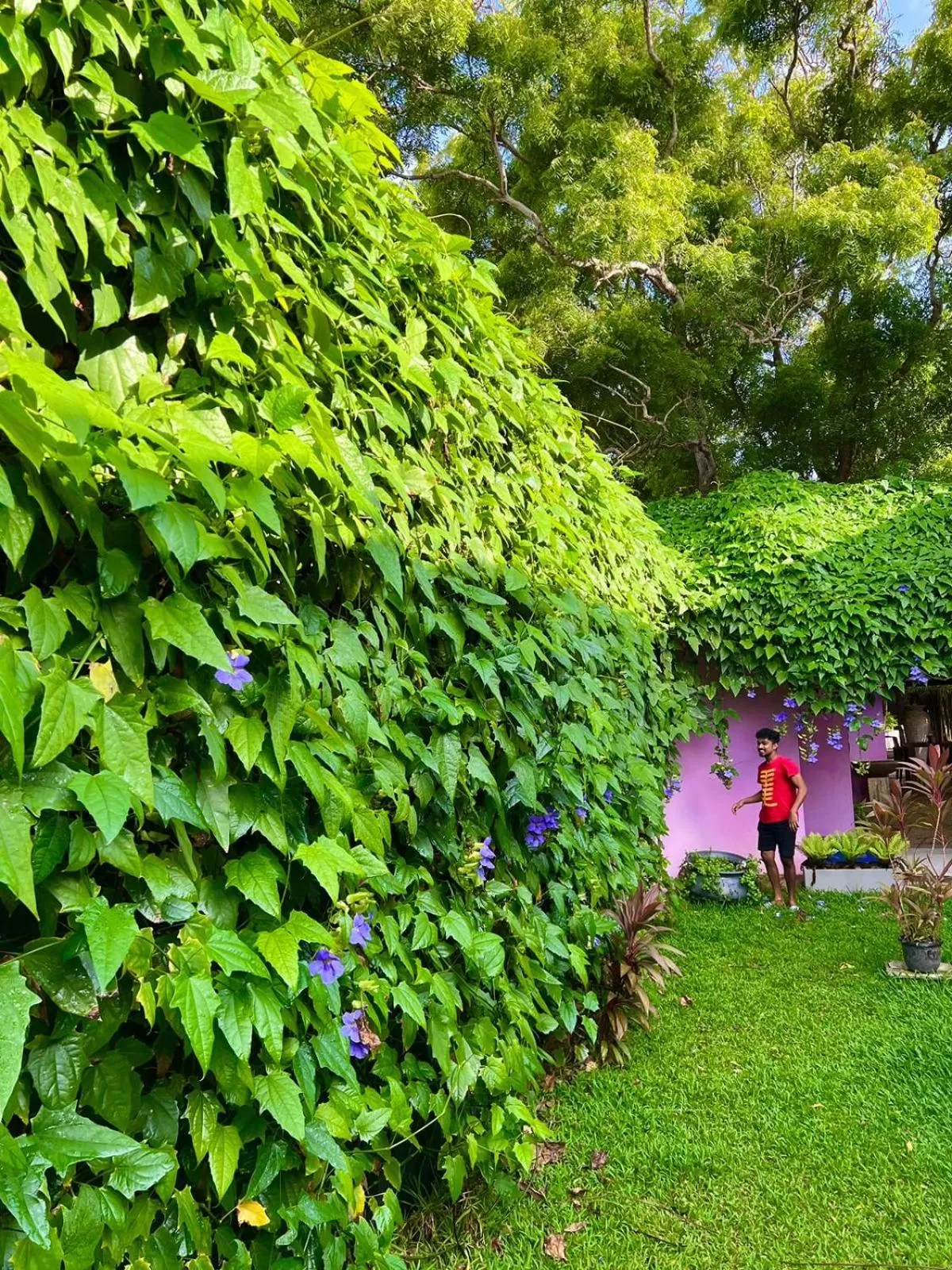 Property building in Dickman Resort "The Boutique Hotel"