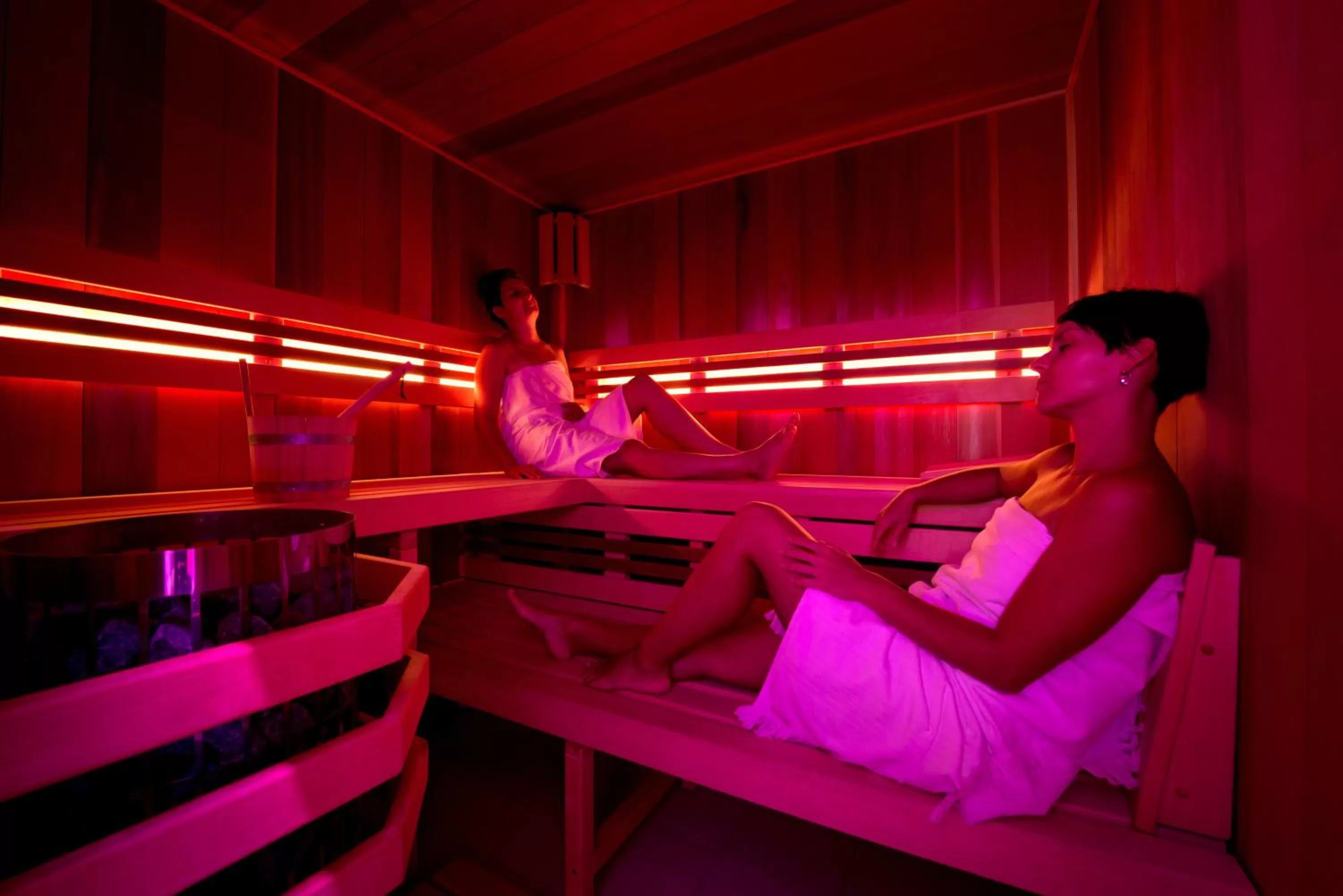 Sauna in Wellness penzion Medličky