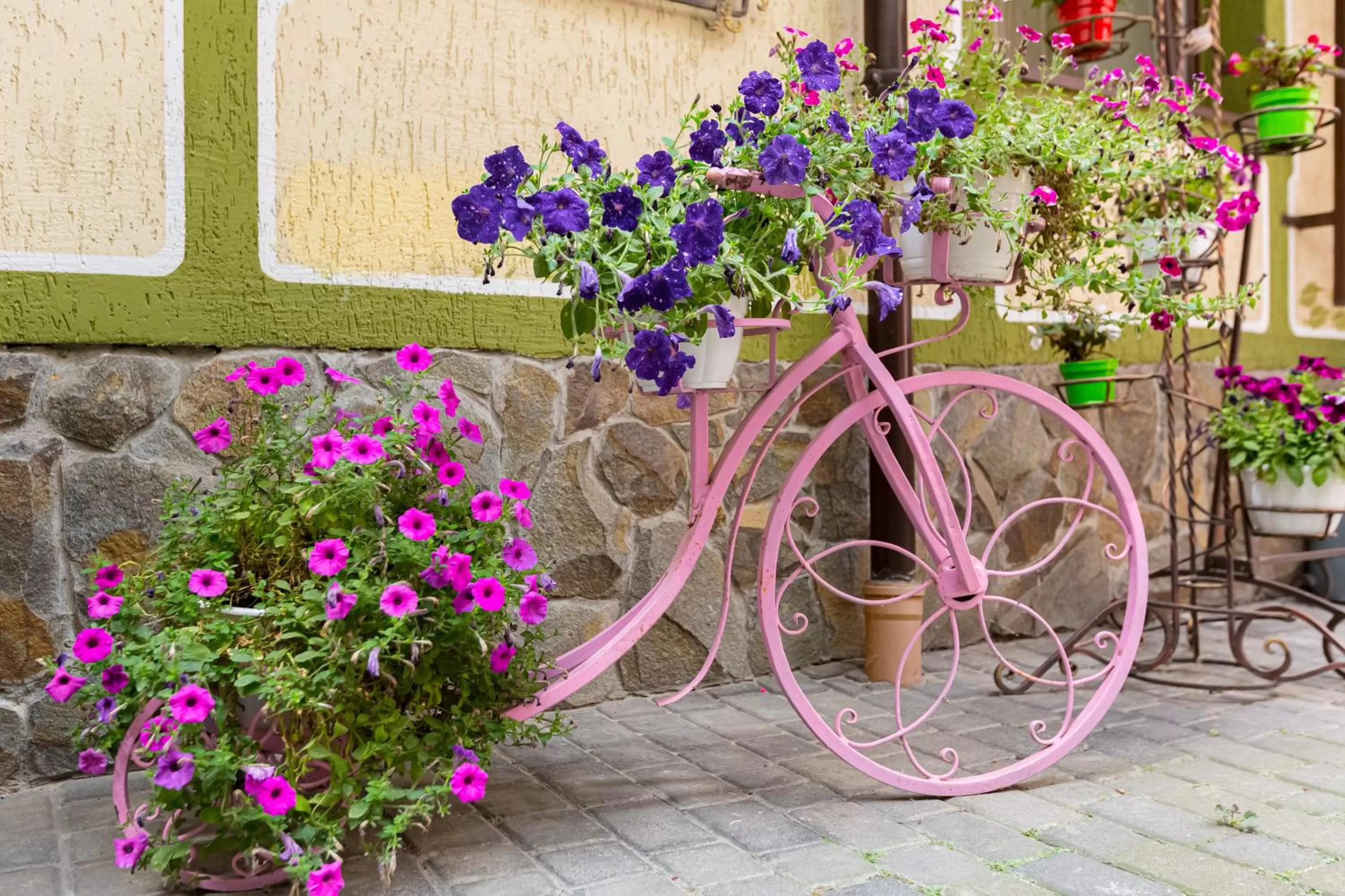 Natural landscape, Other Activities in Staryi Krakiv