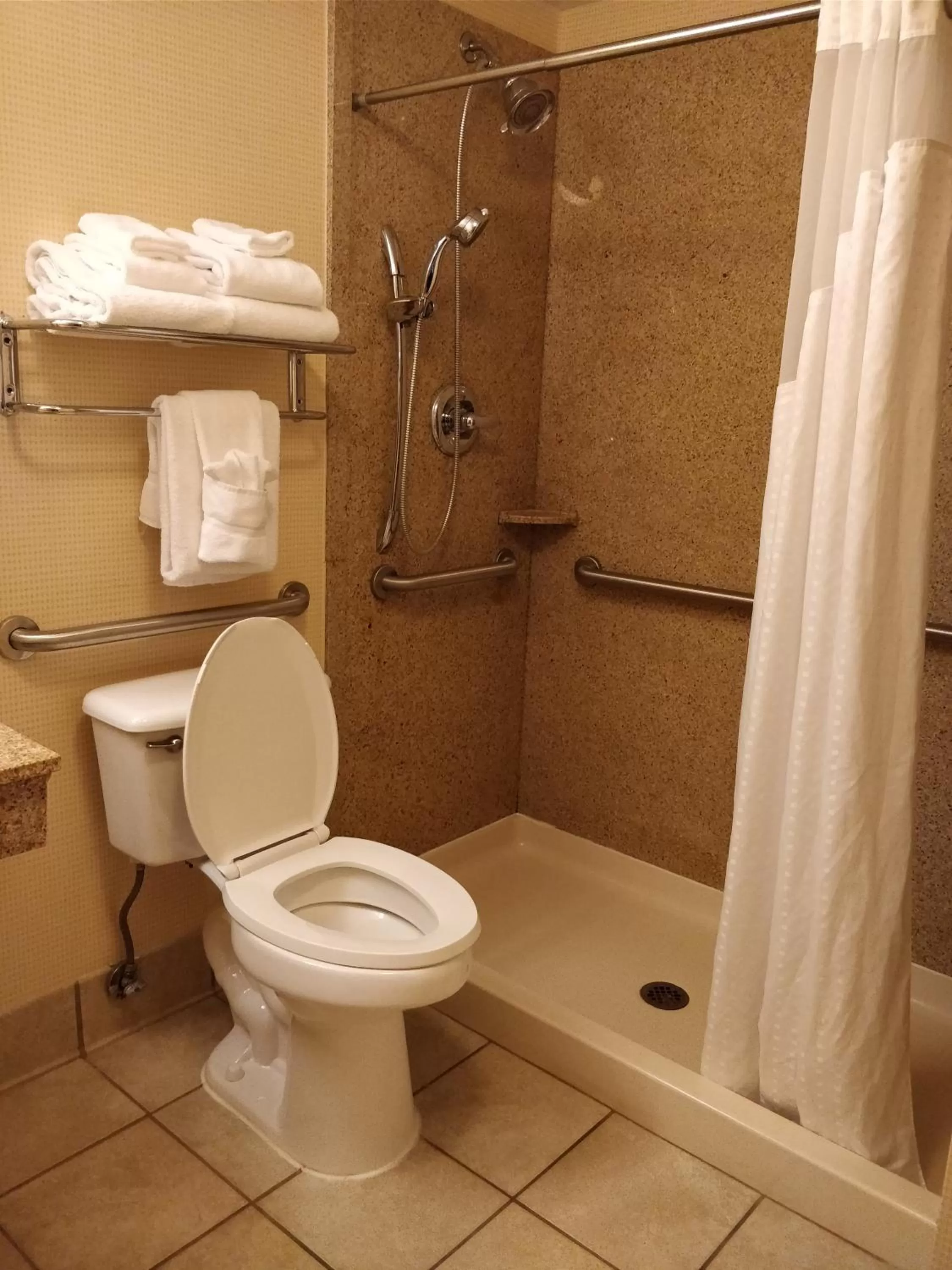 Suite - Mobility Access Roll in Shower/Non-Smoking in Holiday Inn Canton-Belden Village by IHG