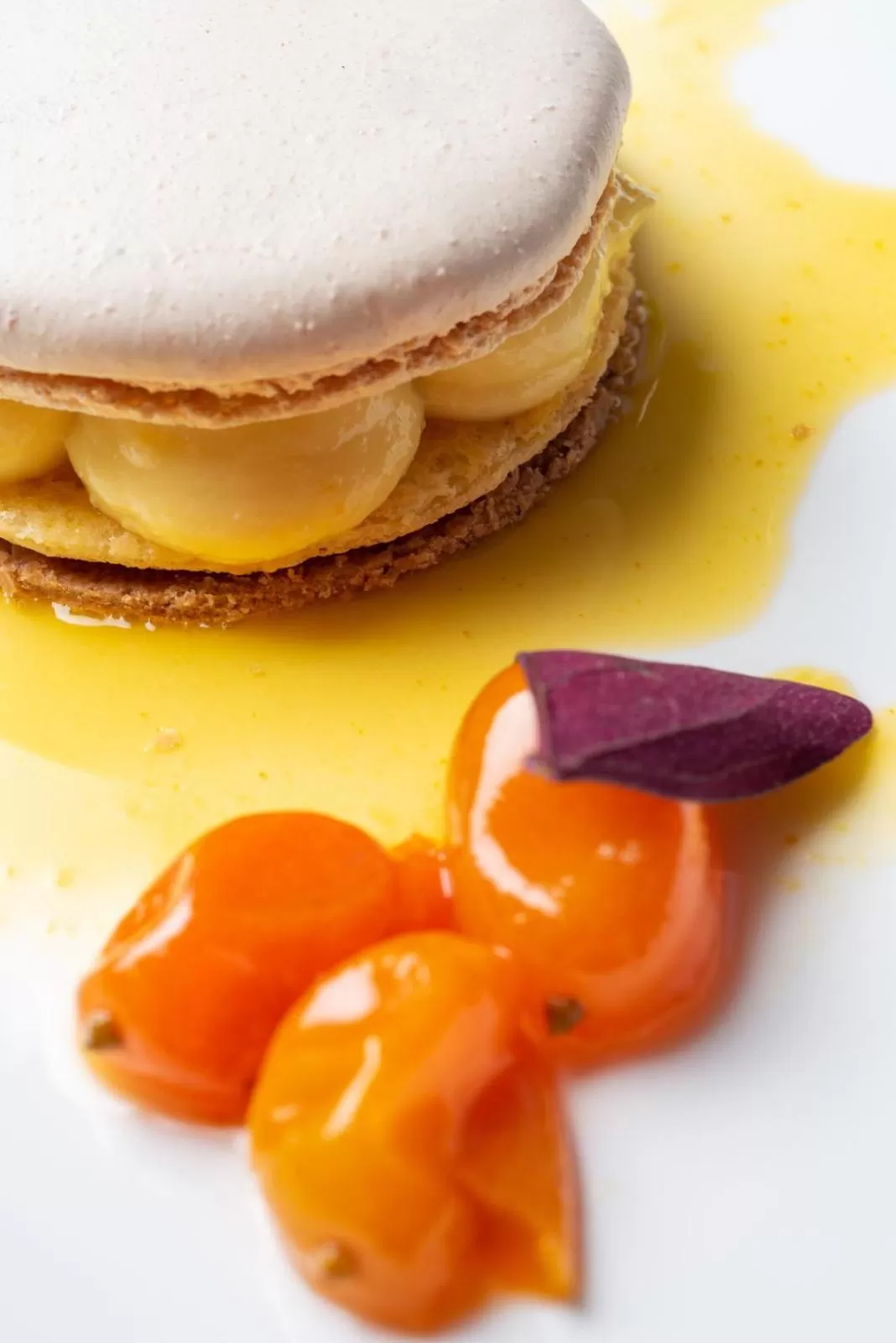 Food in Domaine la Pierre Blanche