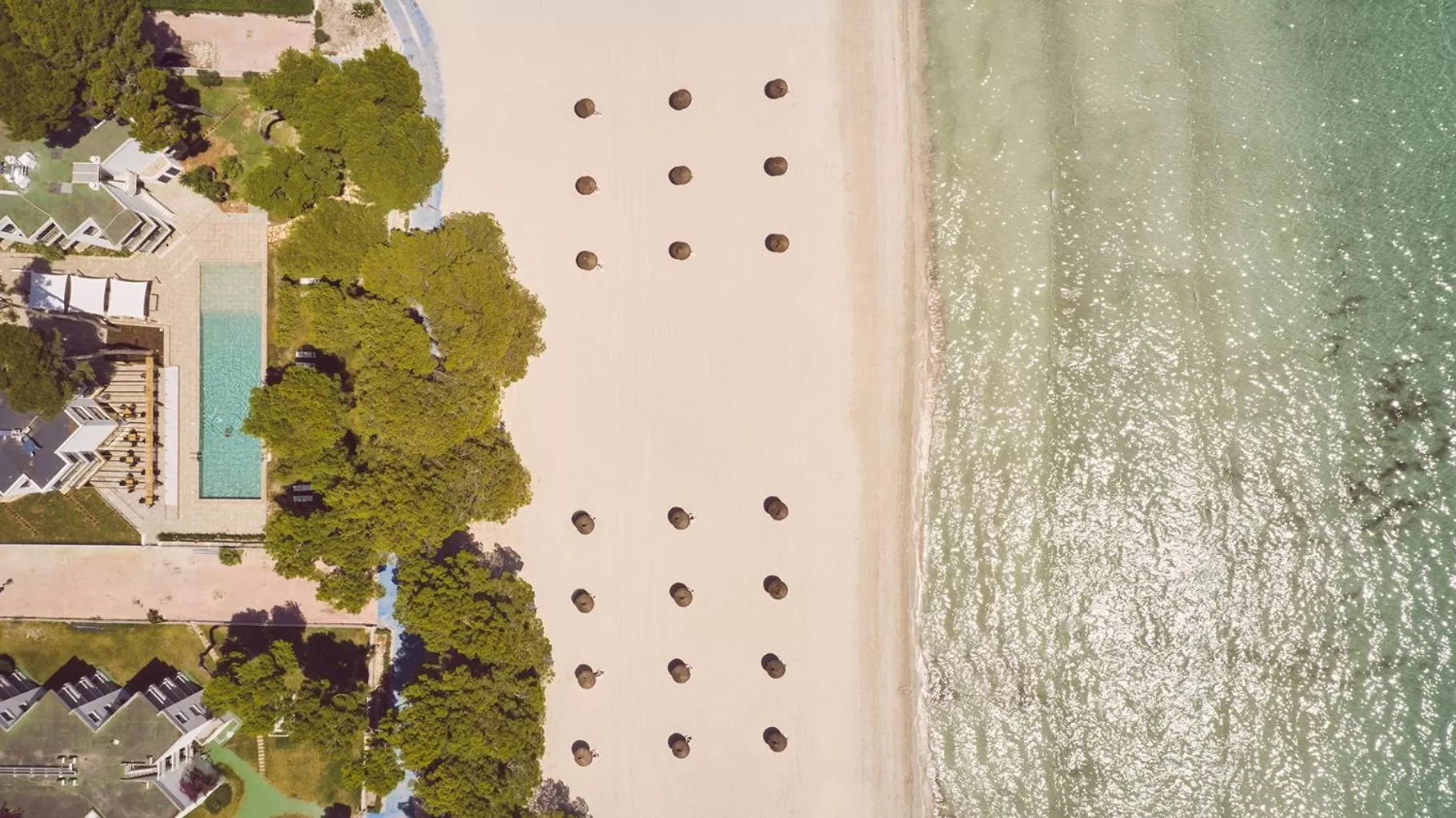 Beach in Sofia Alcudia Beach