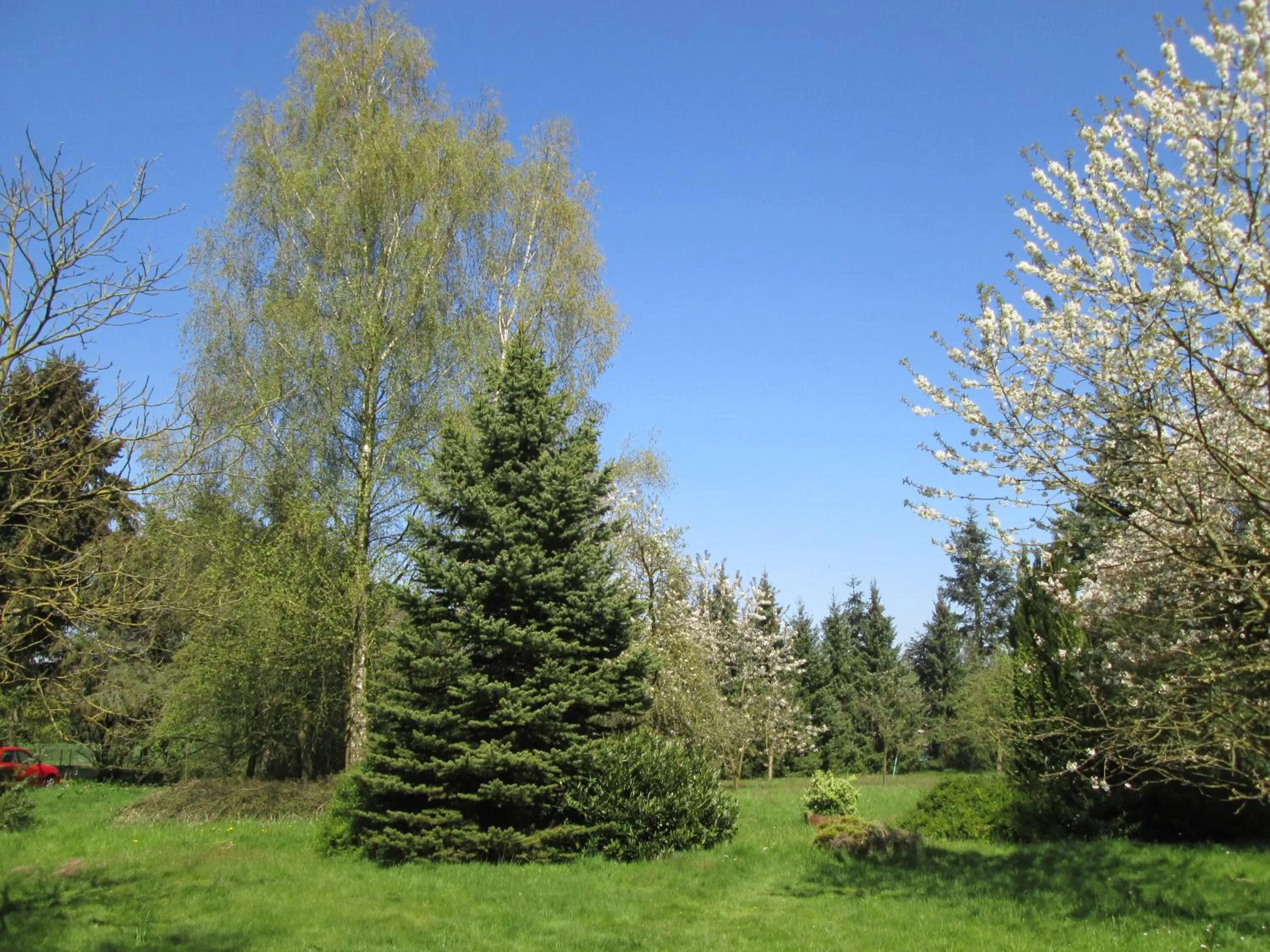 Garden in World House Wetten