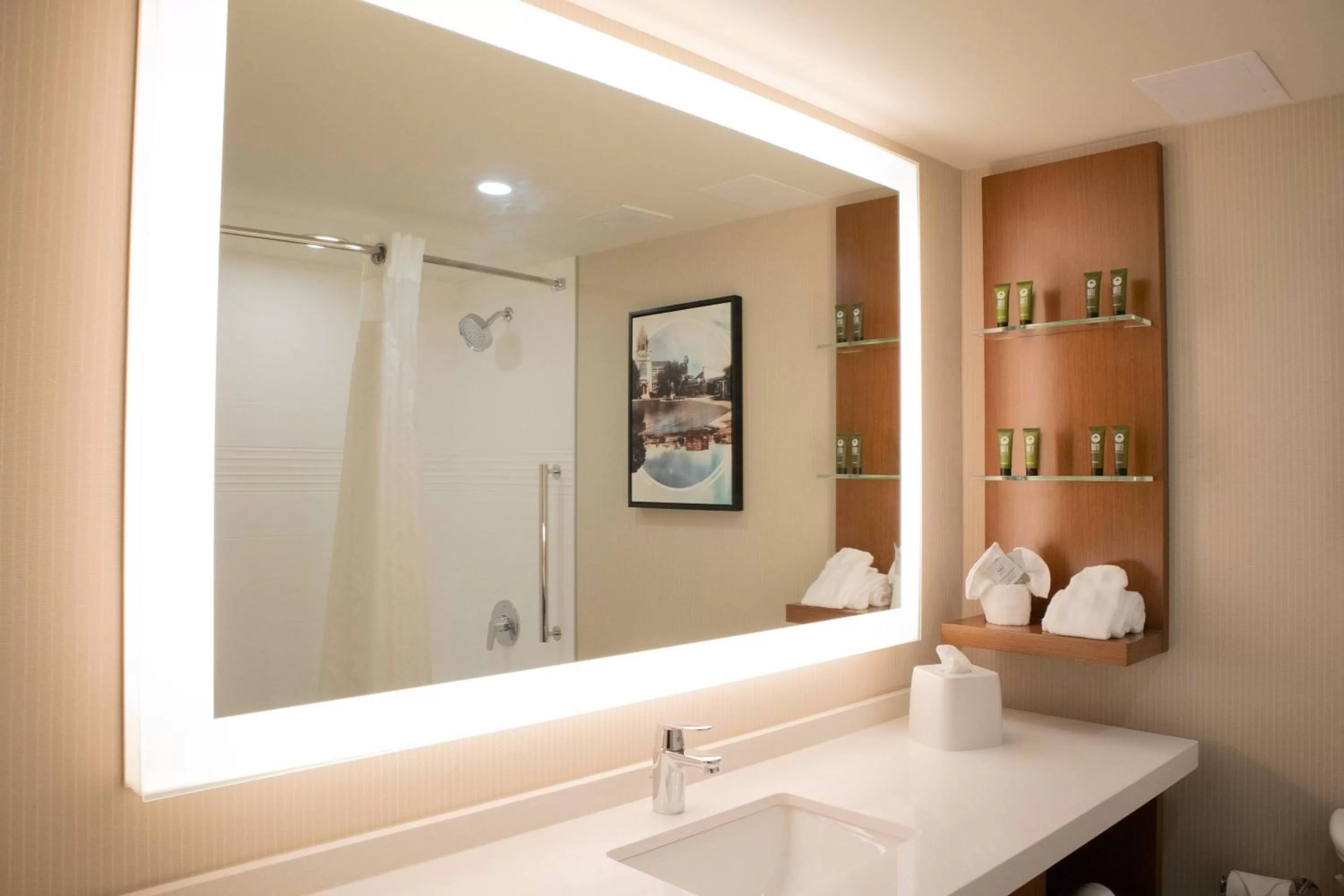 Bathroom in Delta Hotels by Marriott Allentown Lehigh Valley