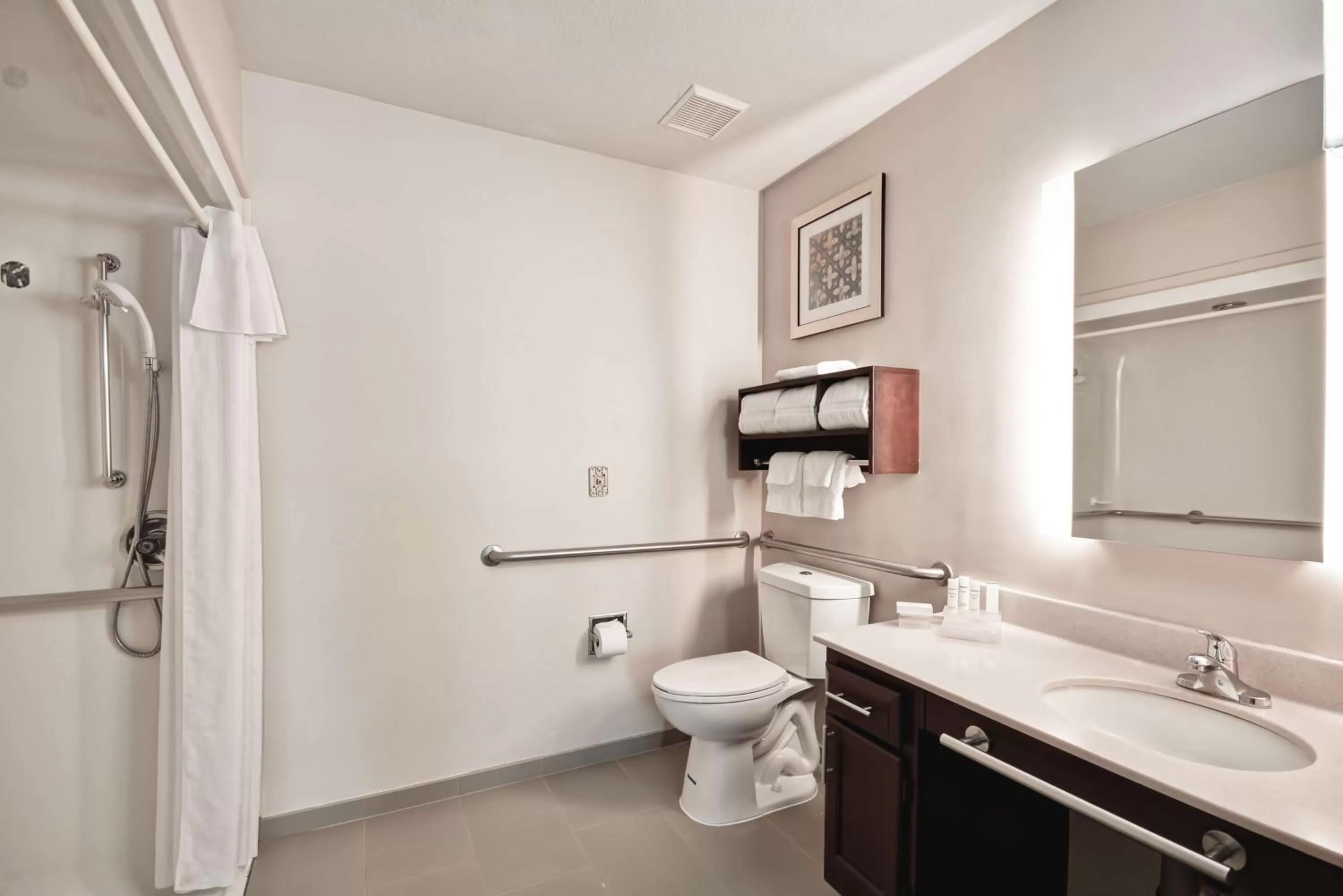 Bathroom in Homewood Suites by Hilton Dallas-Lewisville