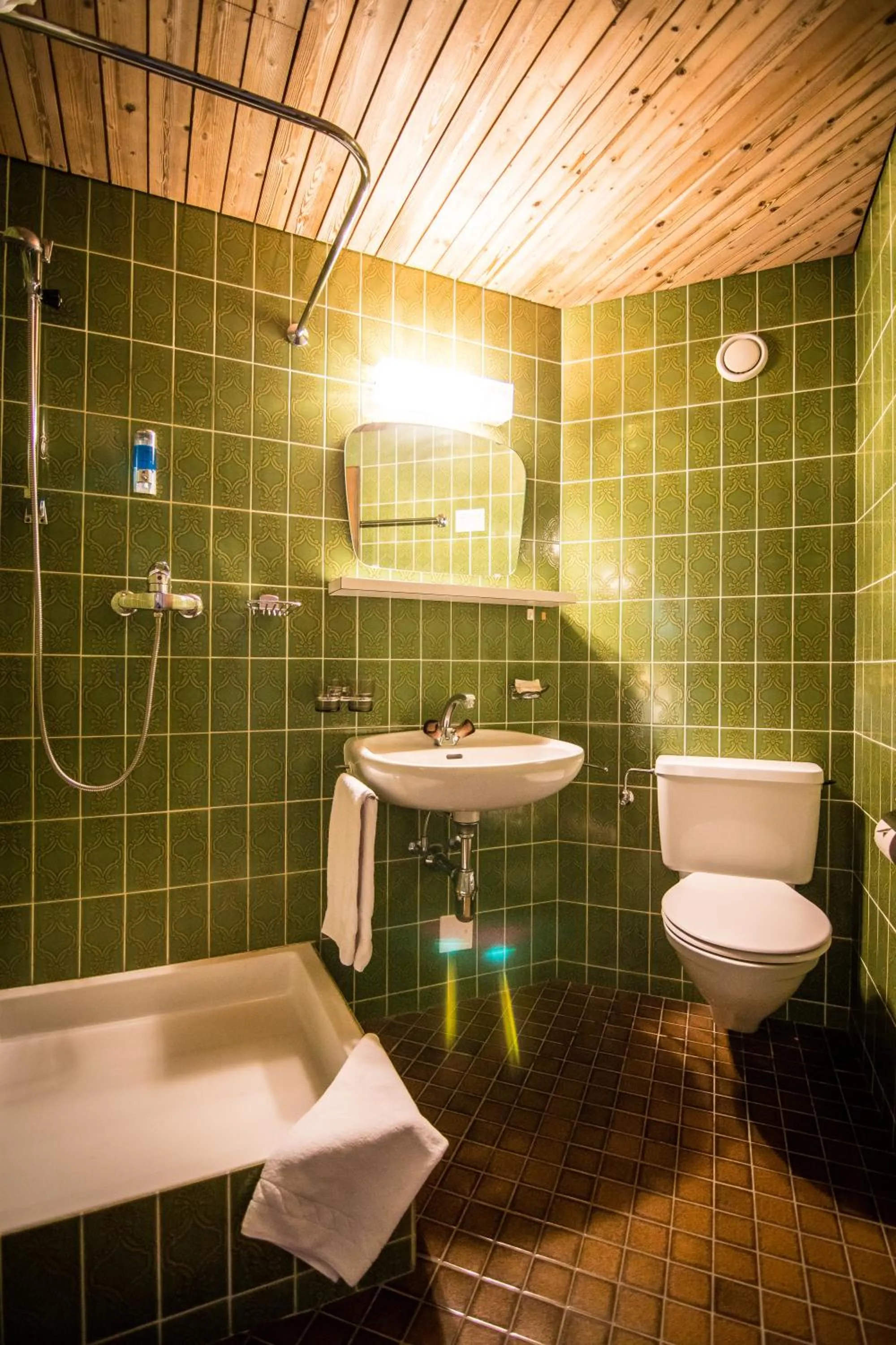 Toilet, Bathroom in Hotel La Collina