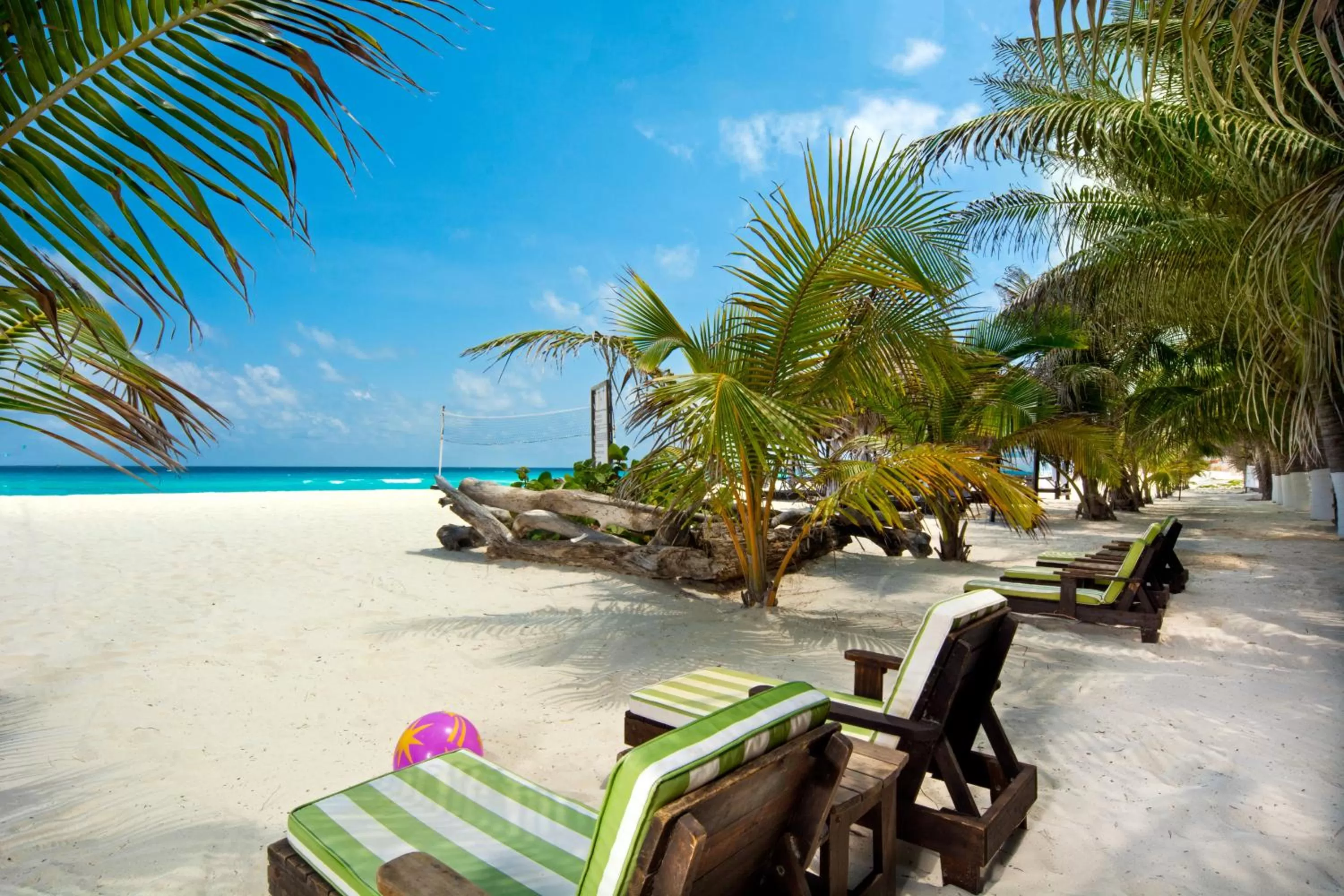 Day in Flamingo Cancun All Inclusive