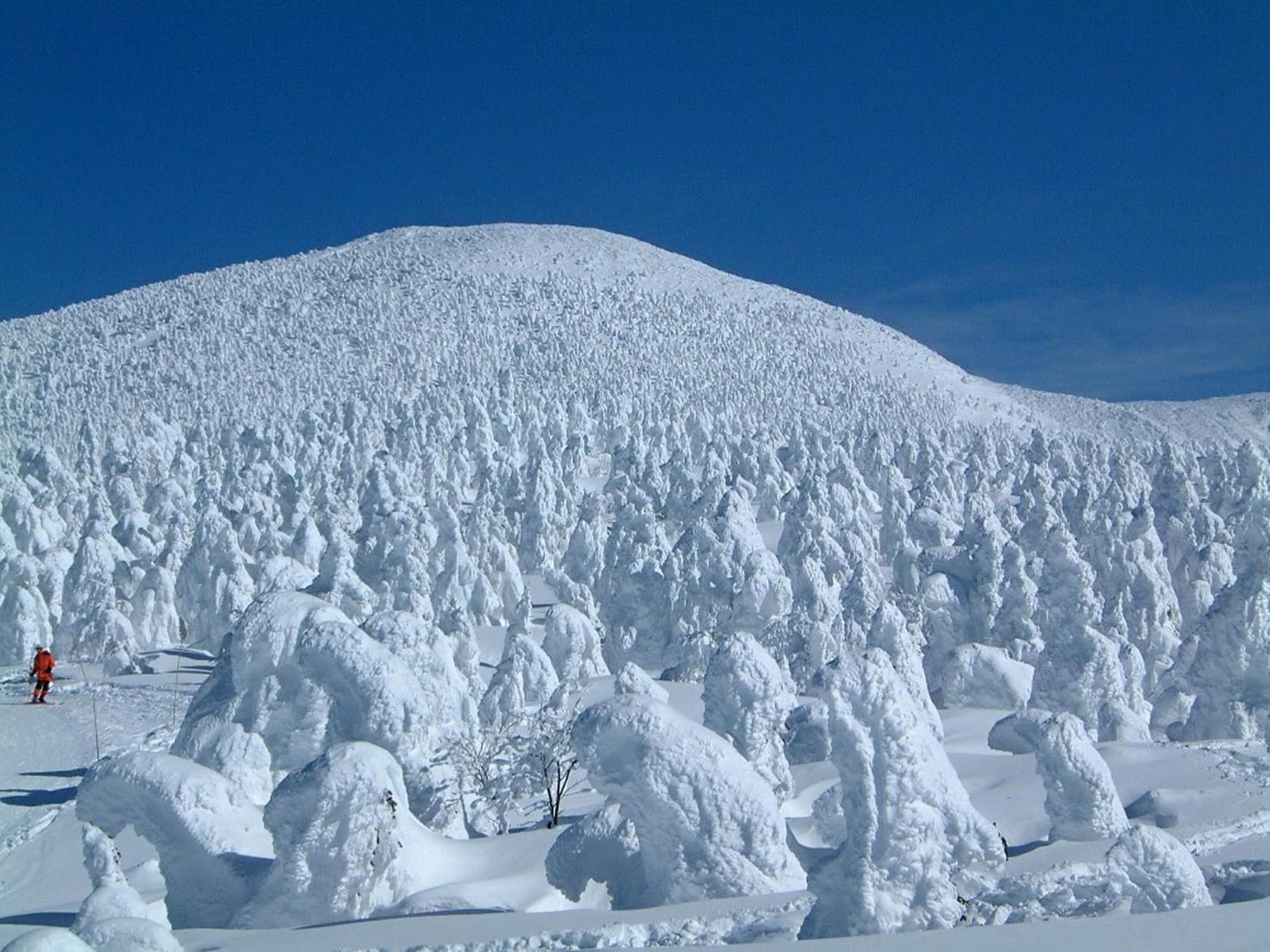 Winter in Zao Kokusai Hotel