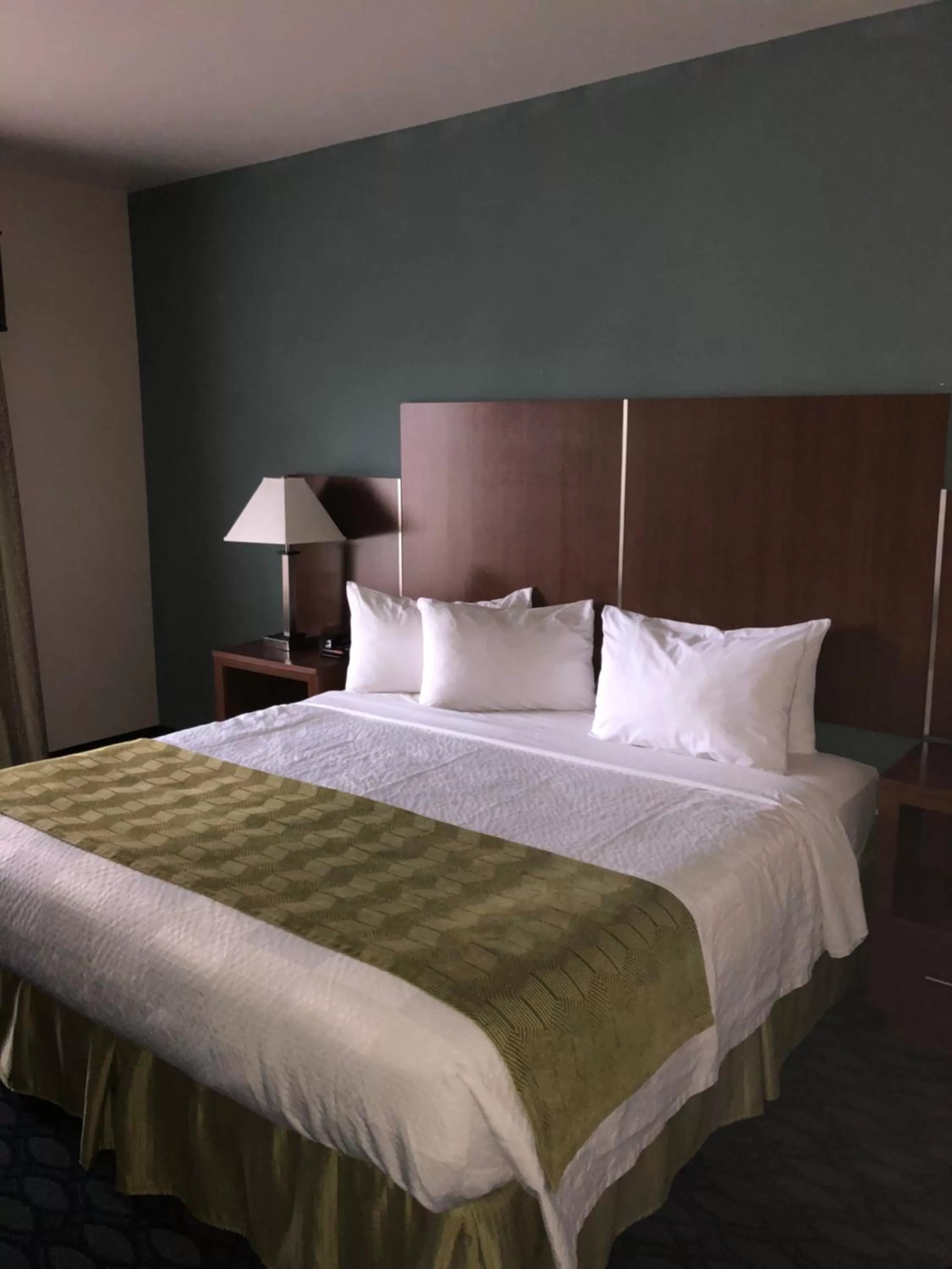 Bed in Countryview Inn & Suites