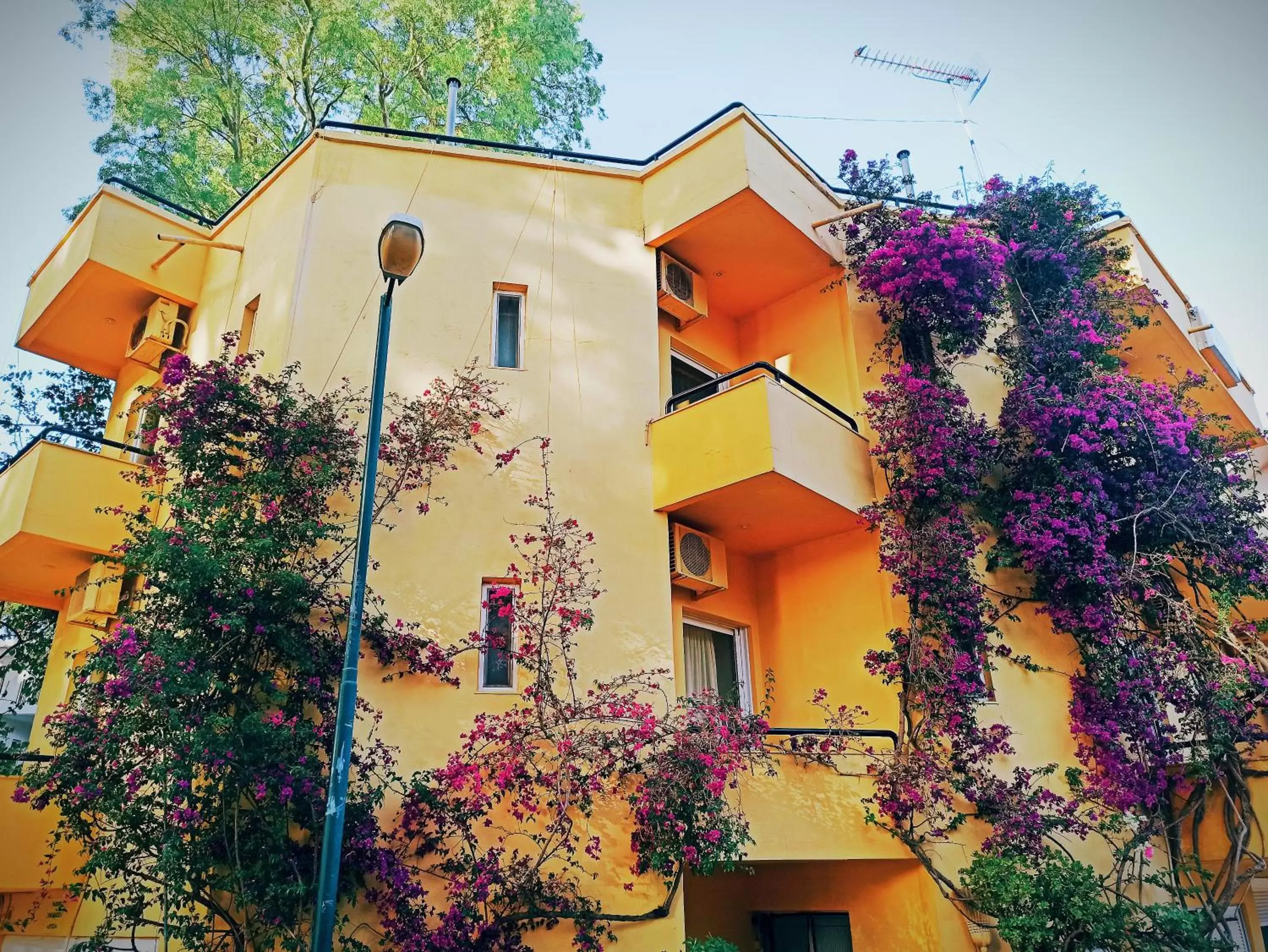 Drosia Hotel Drosia Hotel