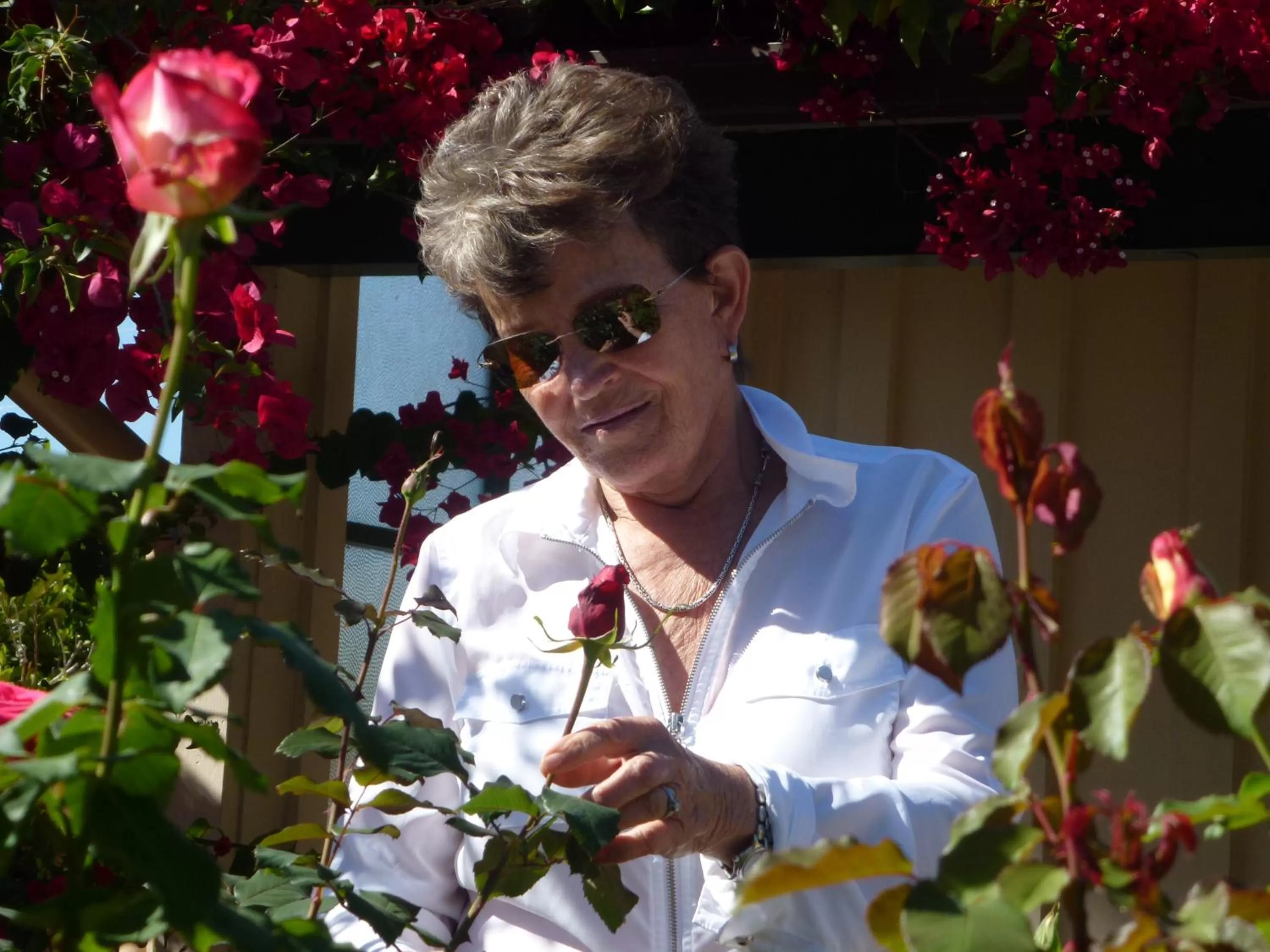 Staff in Cheshire Cat Inn & Cottages