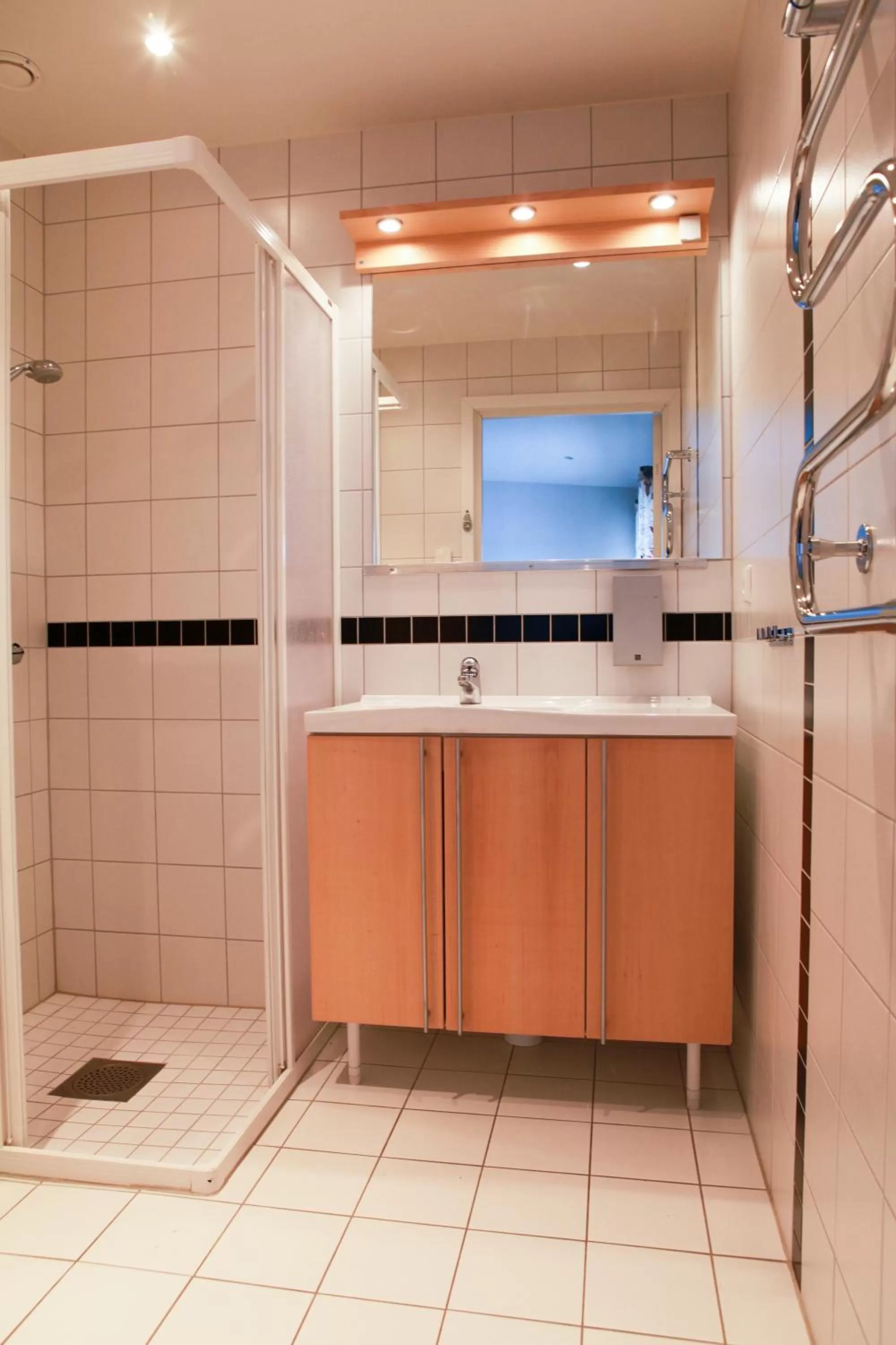 Shower, Lobby/Reception in Tomelilla Golf Hotell