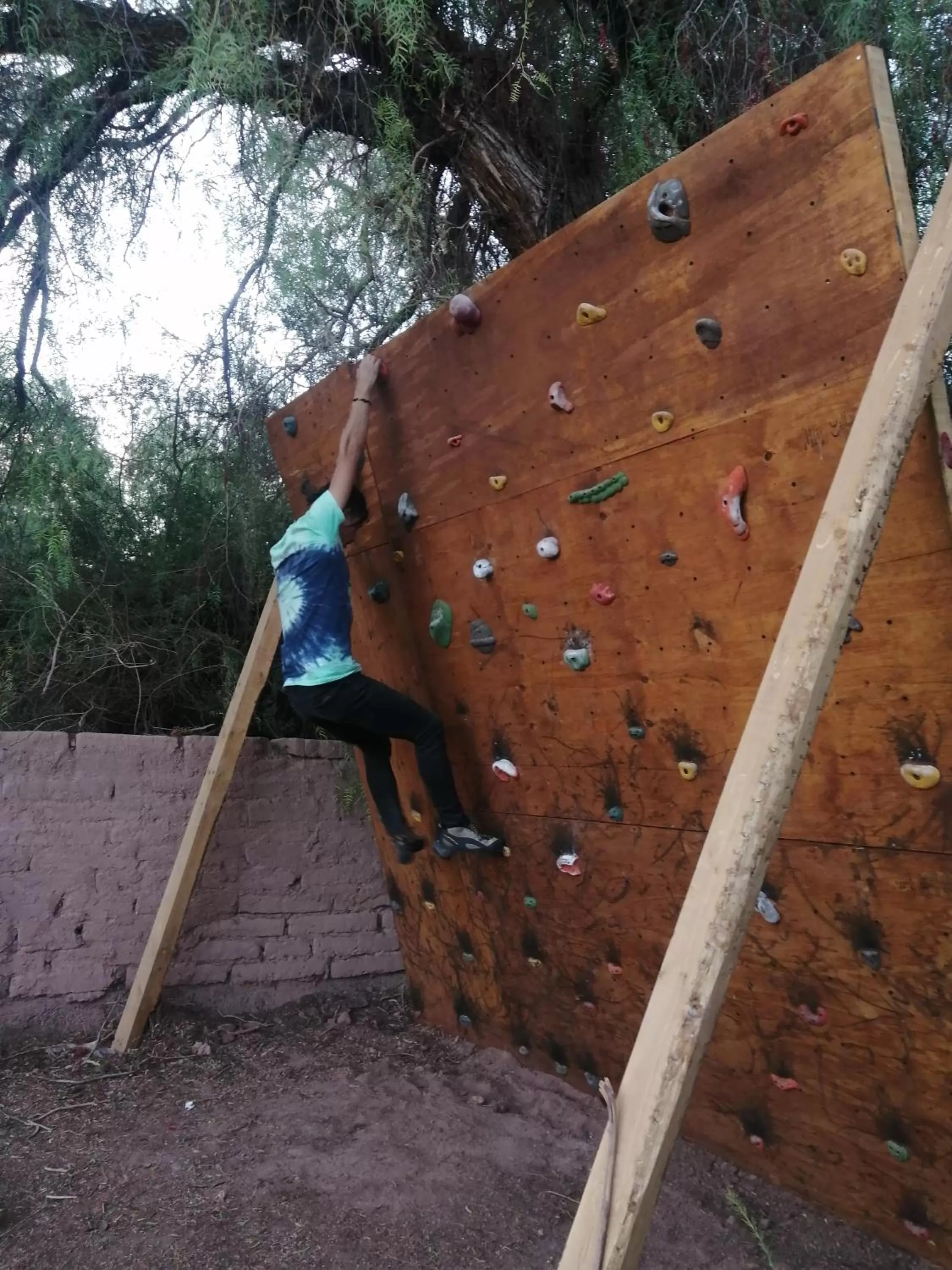 Activities, Other Animals in CaminAndes Hostal