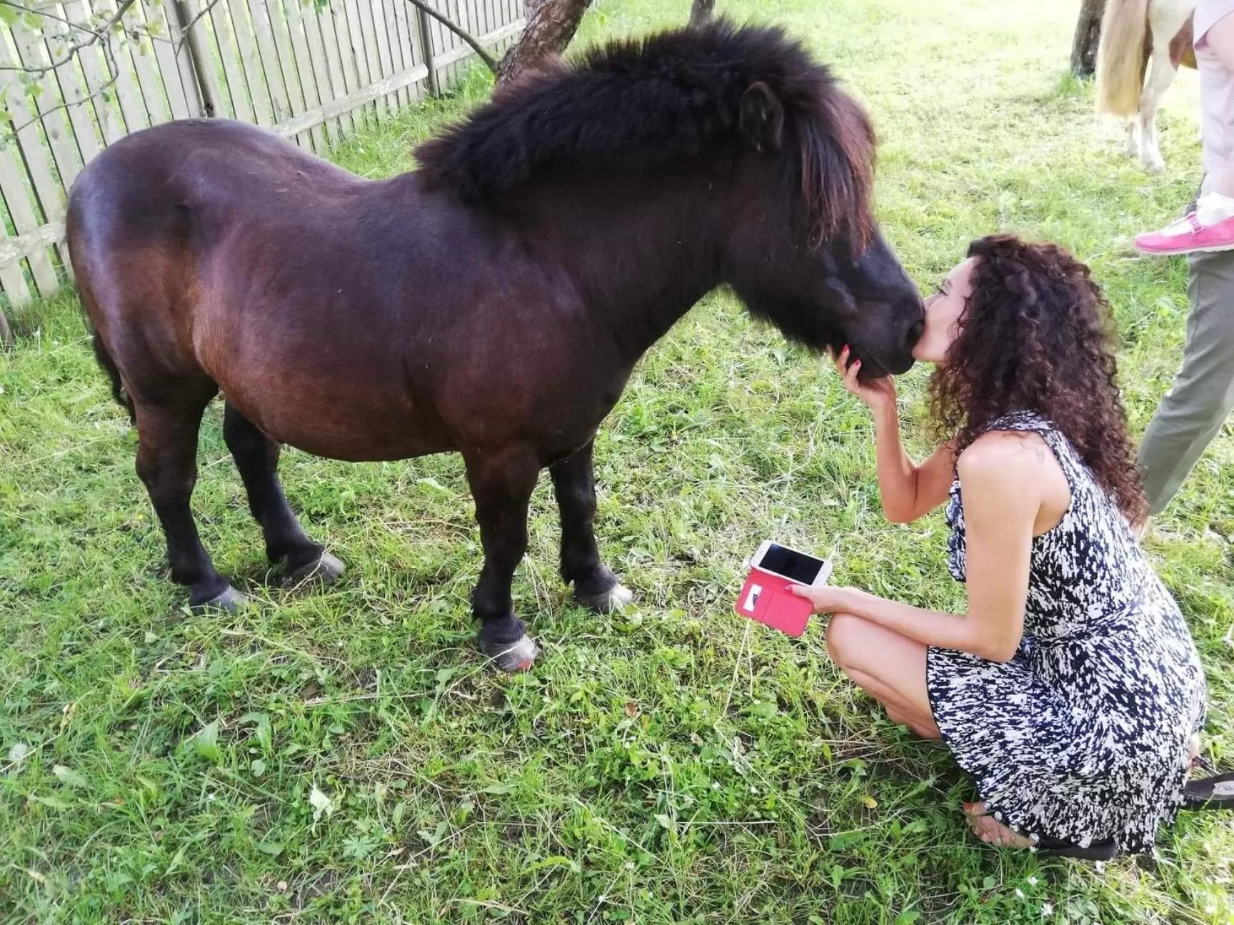 Property building in Pensiunea SilvAnka