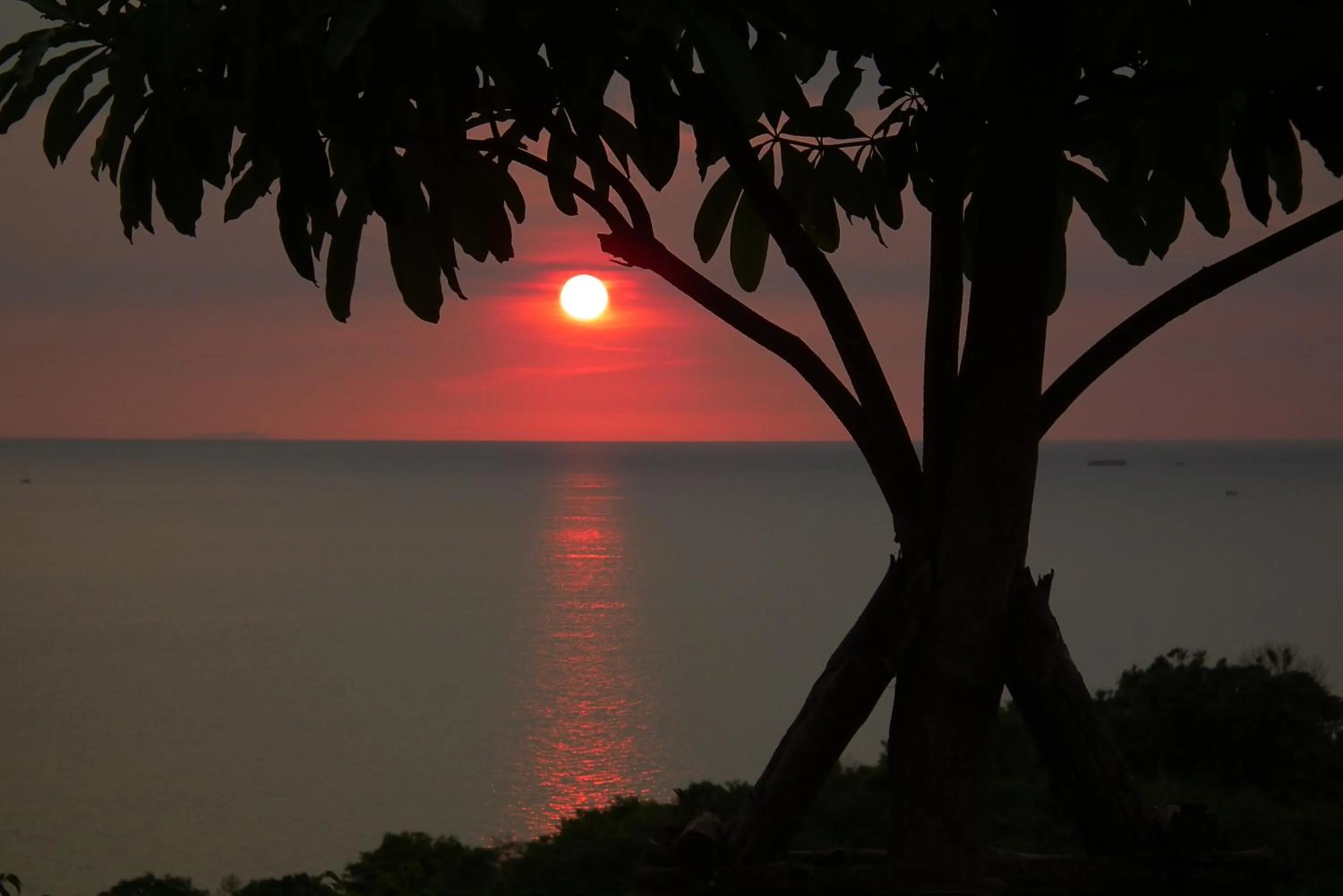 Sea view in Baan KanTiang See Villas - SHA Extra Plus