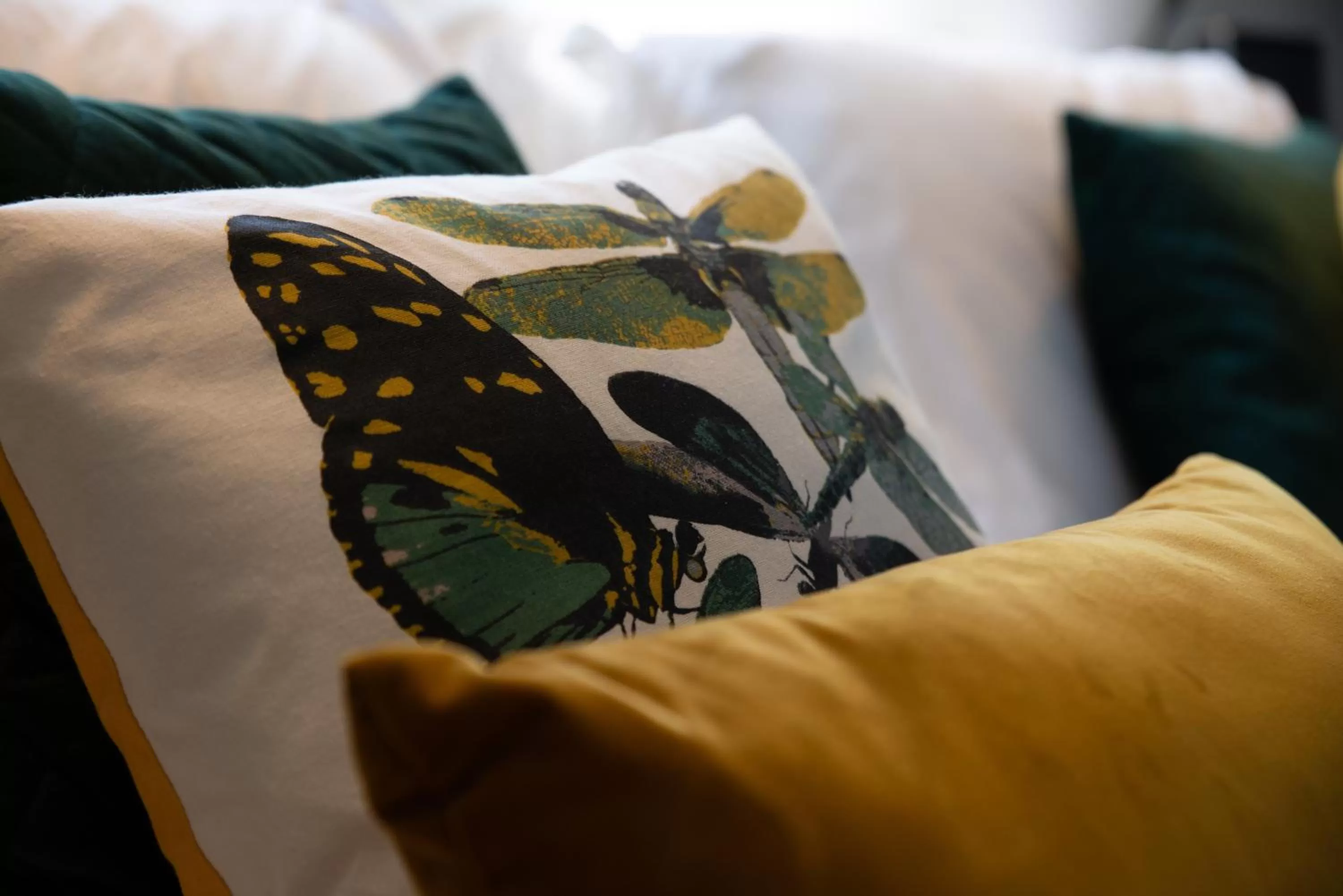 Bed in Rockmount Rooms & Apartment