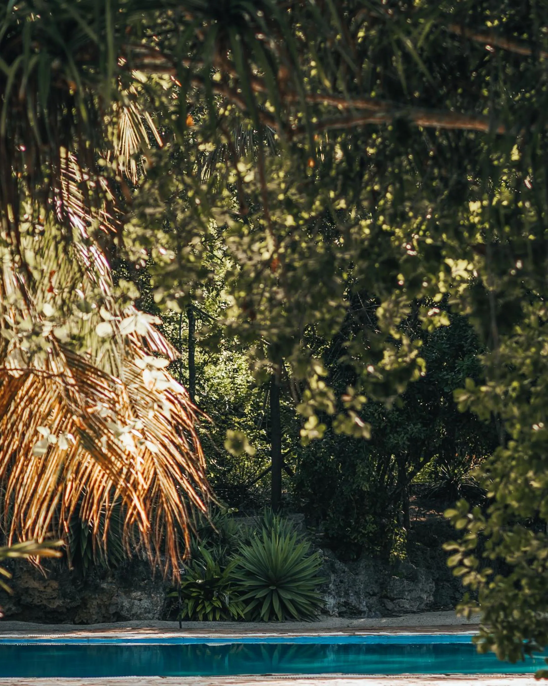 Natural landscape in Hakuna Majiwe Beach Lodge