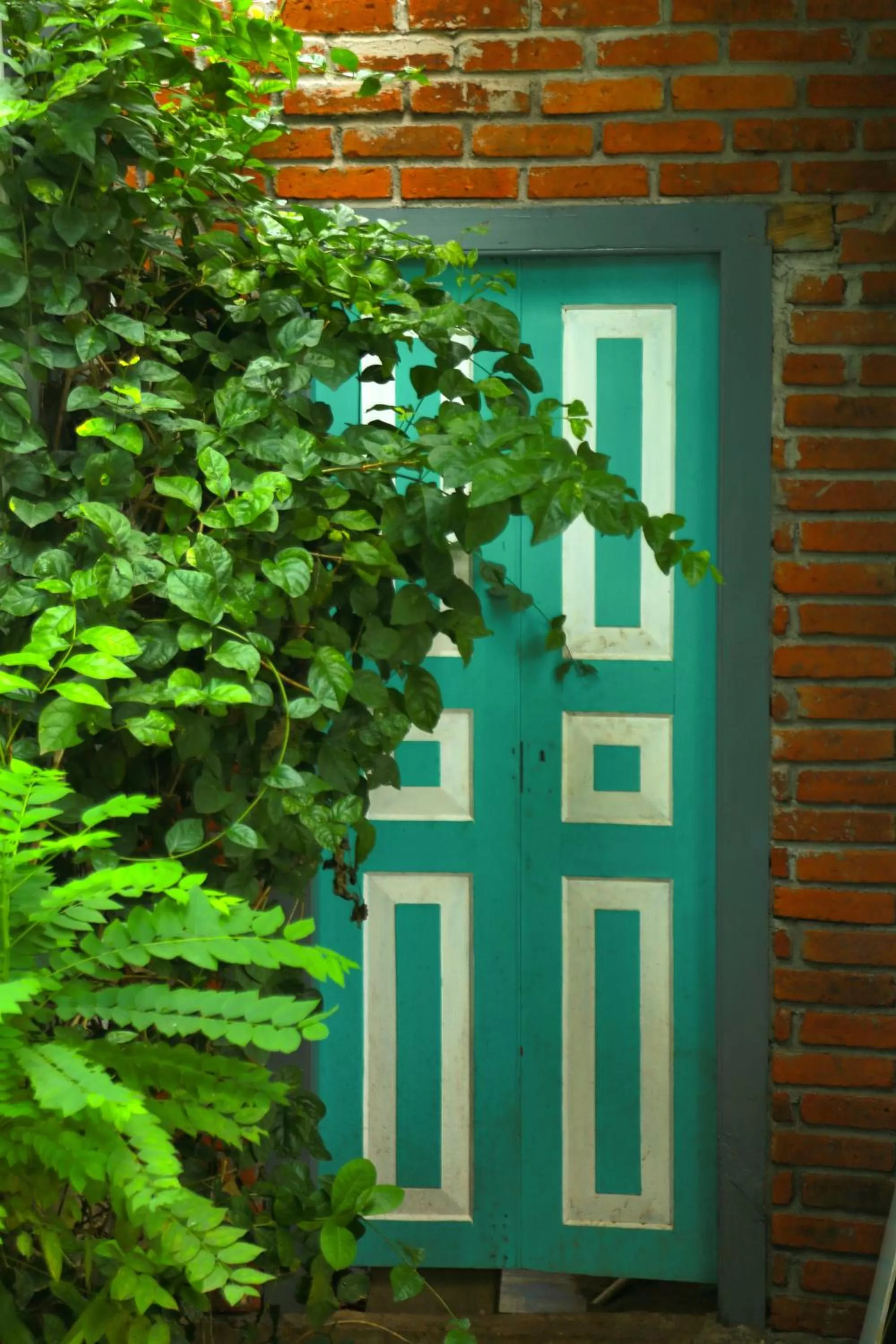 Property Building in Temple Tree