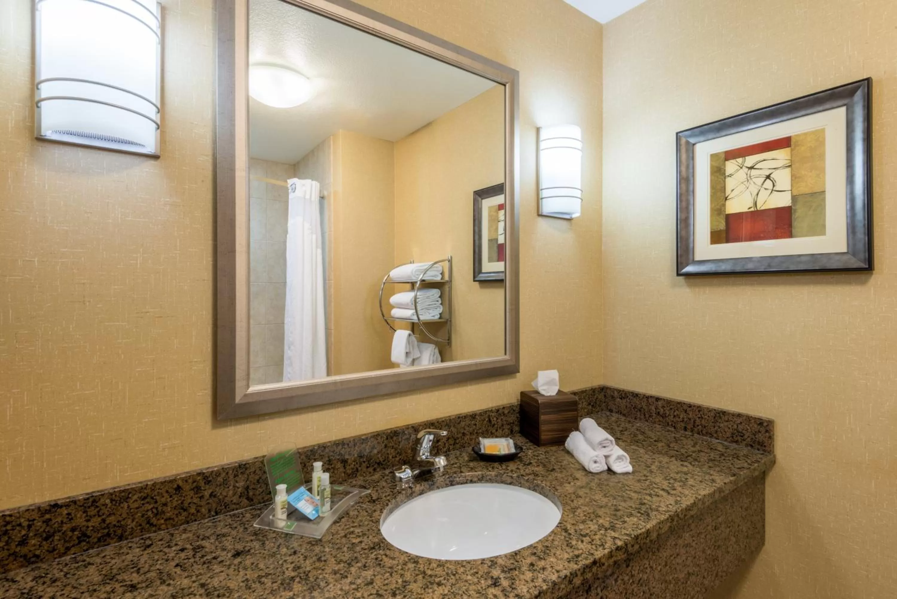 Bathroom in Holiday Inn Hotel & Suites Grand Junction-Airport by IHG