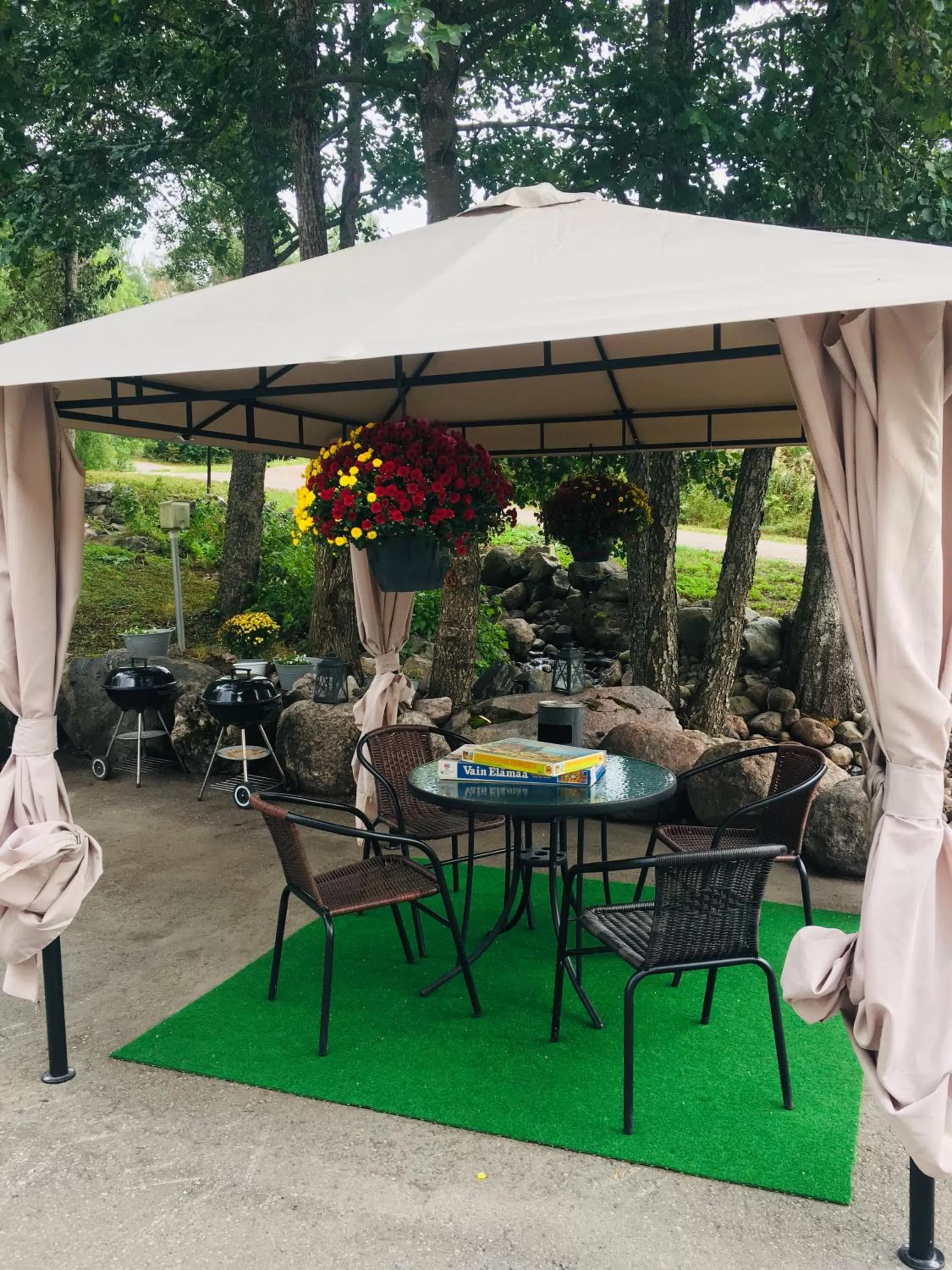 BBQ facilities in Hotel Villa Molnby