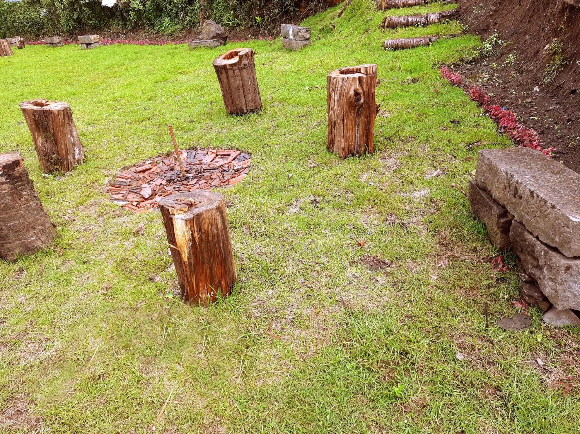 Garden in GRAND KODAI SR INN
