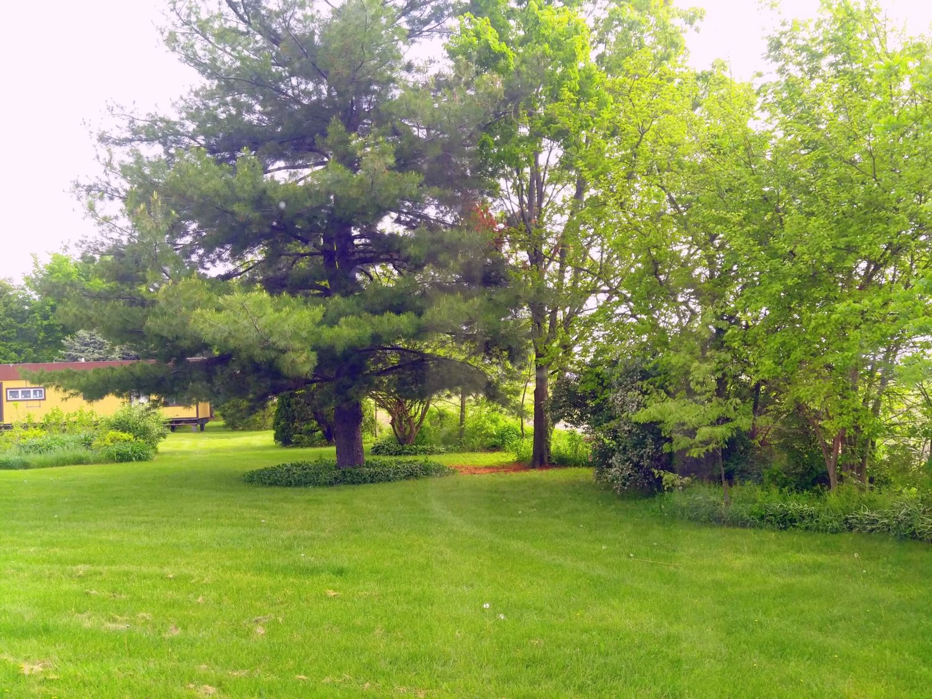 Natural landscape, Garden in The Usonian Inn LLC