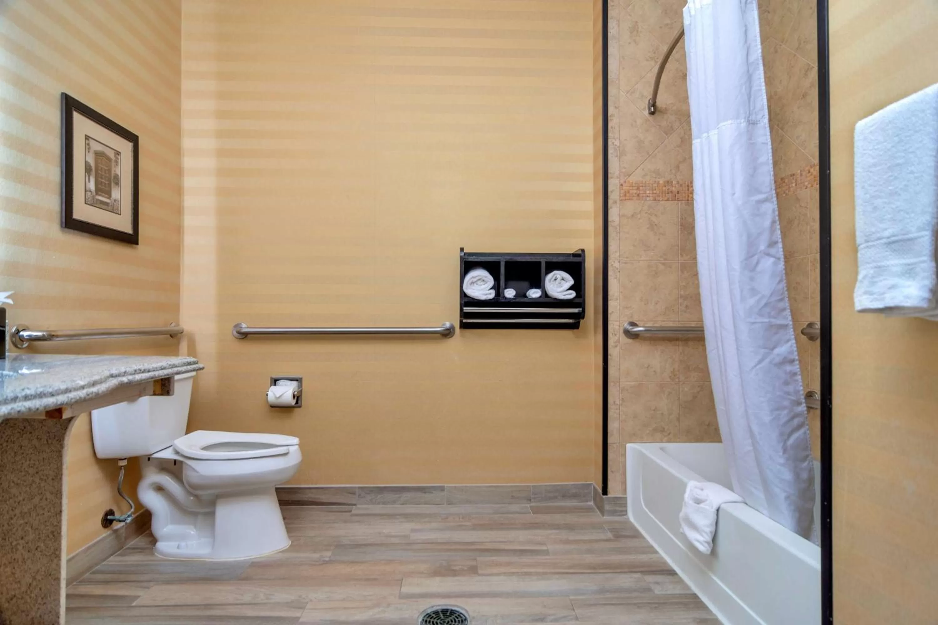 Bathroom in Hampton Inn & Suites Fort Worth-Fossil Creek