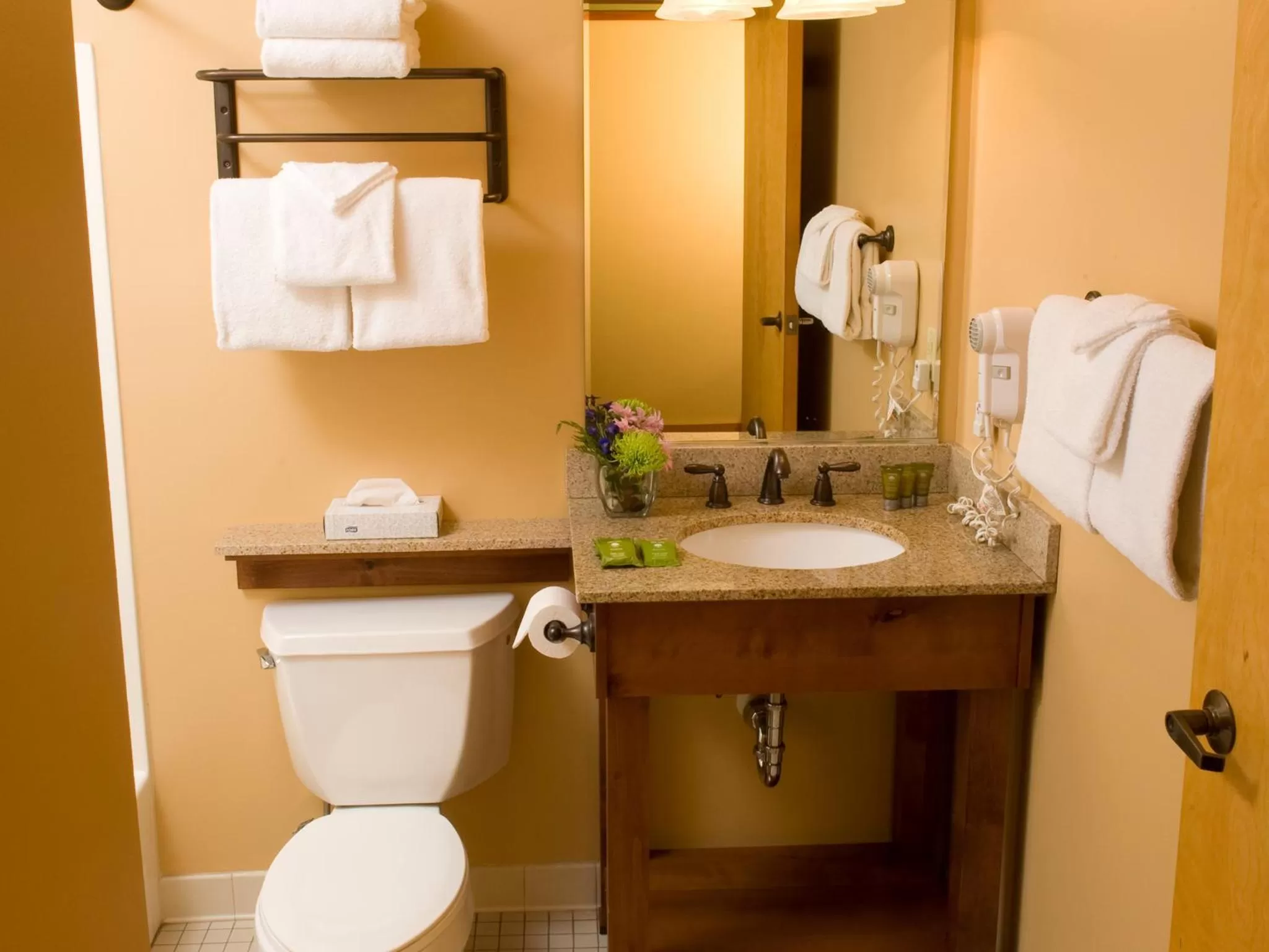 Bathroom in Caribou Highlands Lodge