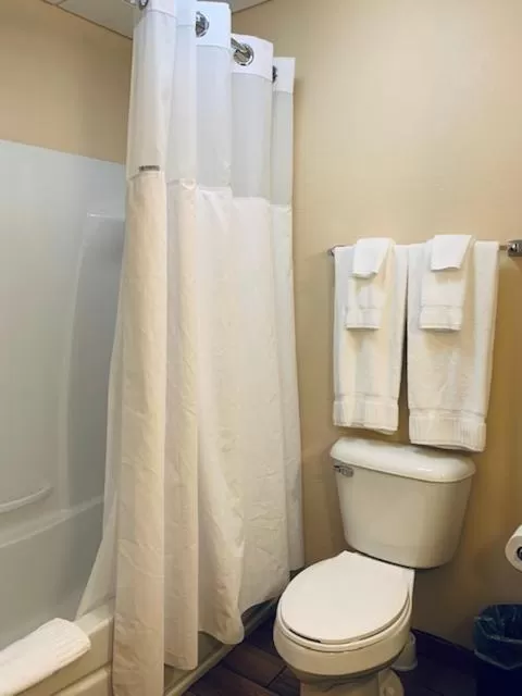 Bathroom in Wingate by Wyndham Elkins