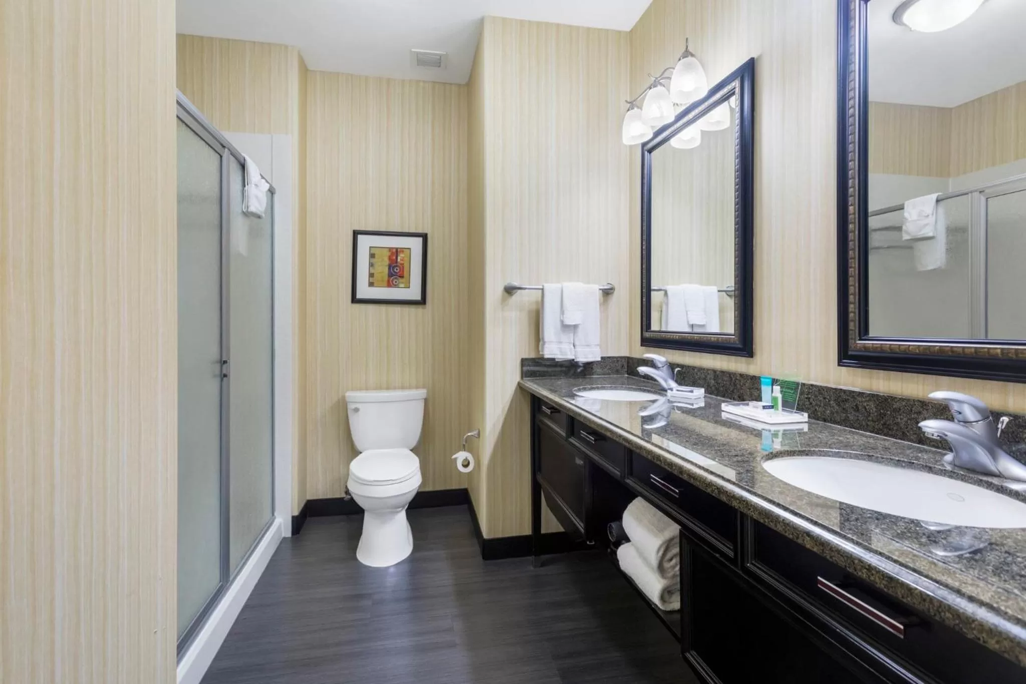 Bathroom in Holiday Inn Hotel & Suites Waco Northwest by IHG
