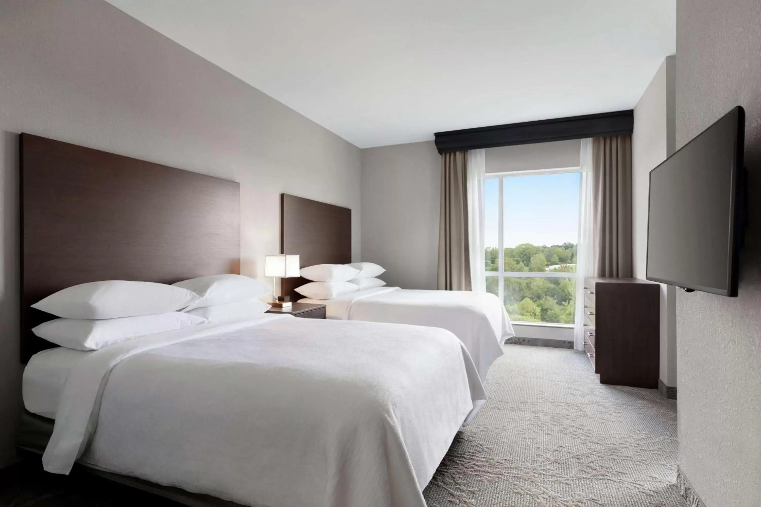 Two Room Queen Suite with Roll In Shower - Mobility Access in Embassy Suites Charlotte/Ayrsley Two Room Queen Suite with Roll In Shower - Mobility Access in Embassy Suites Charlotte/Ayrsley