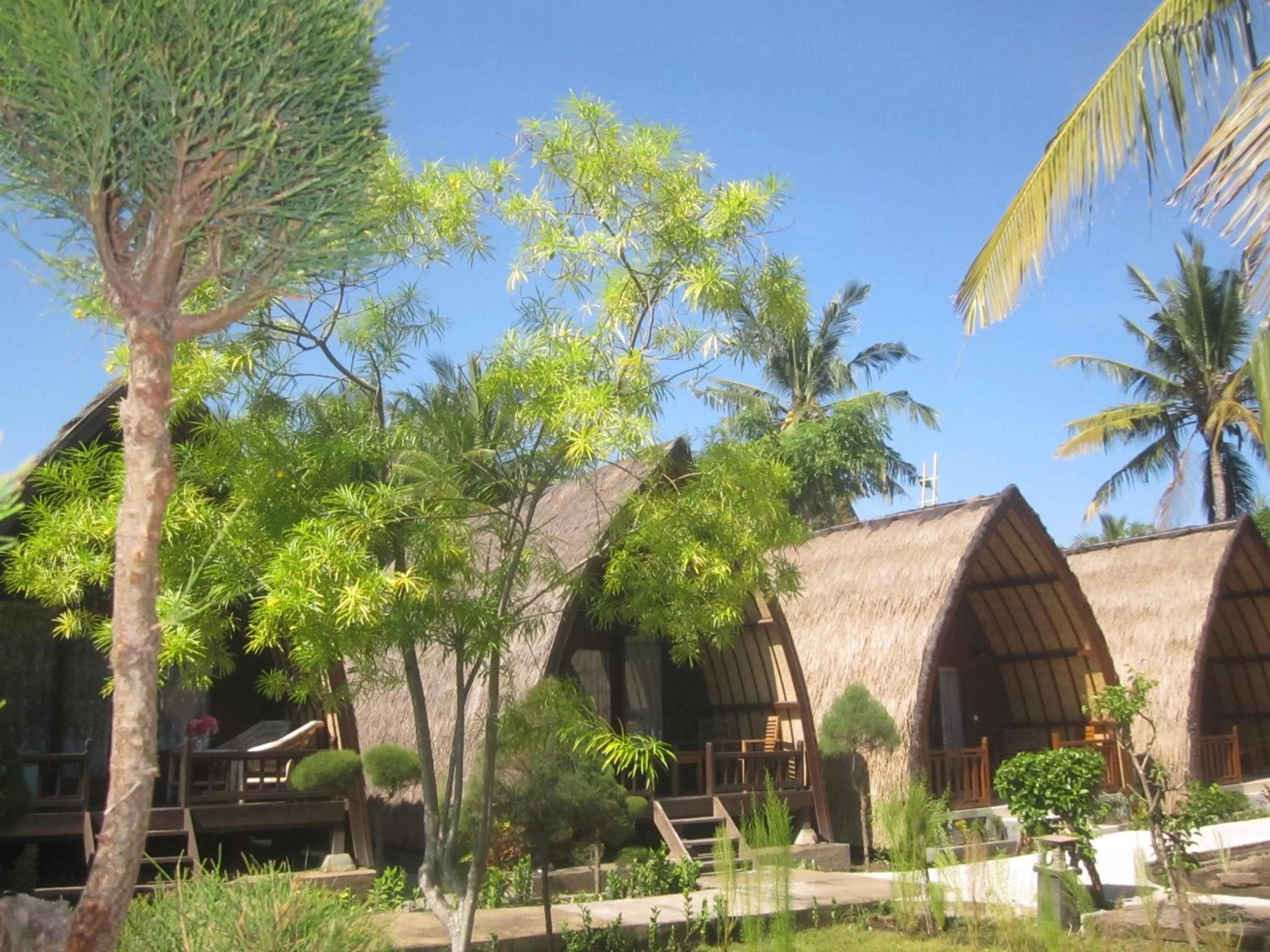 Garden in Sandy Beach Bungalows