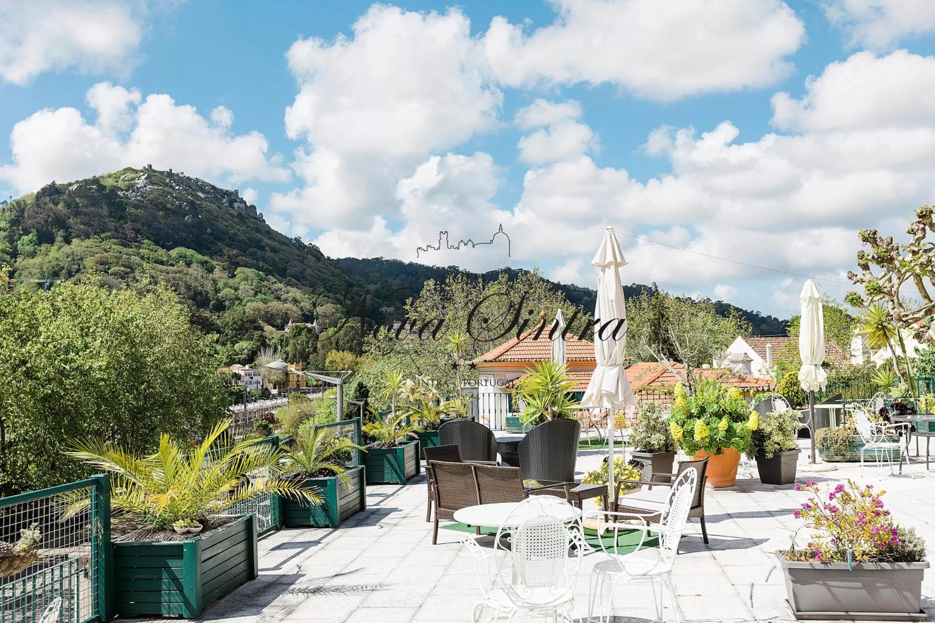 Garden in Hotel Nova Sintra - Adults only