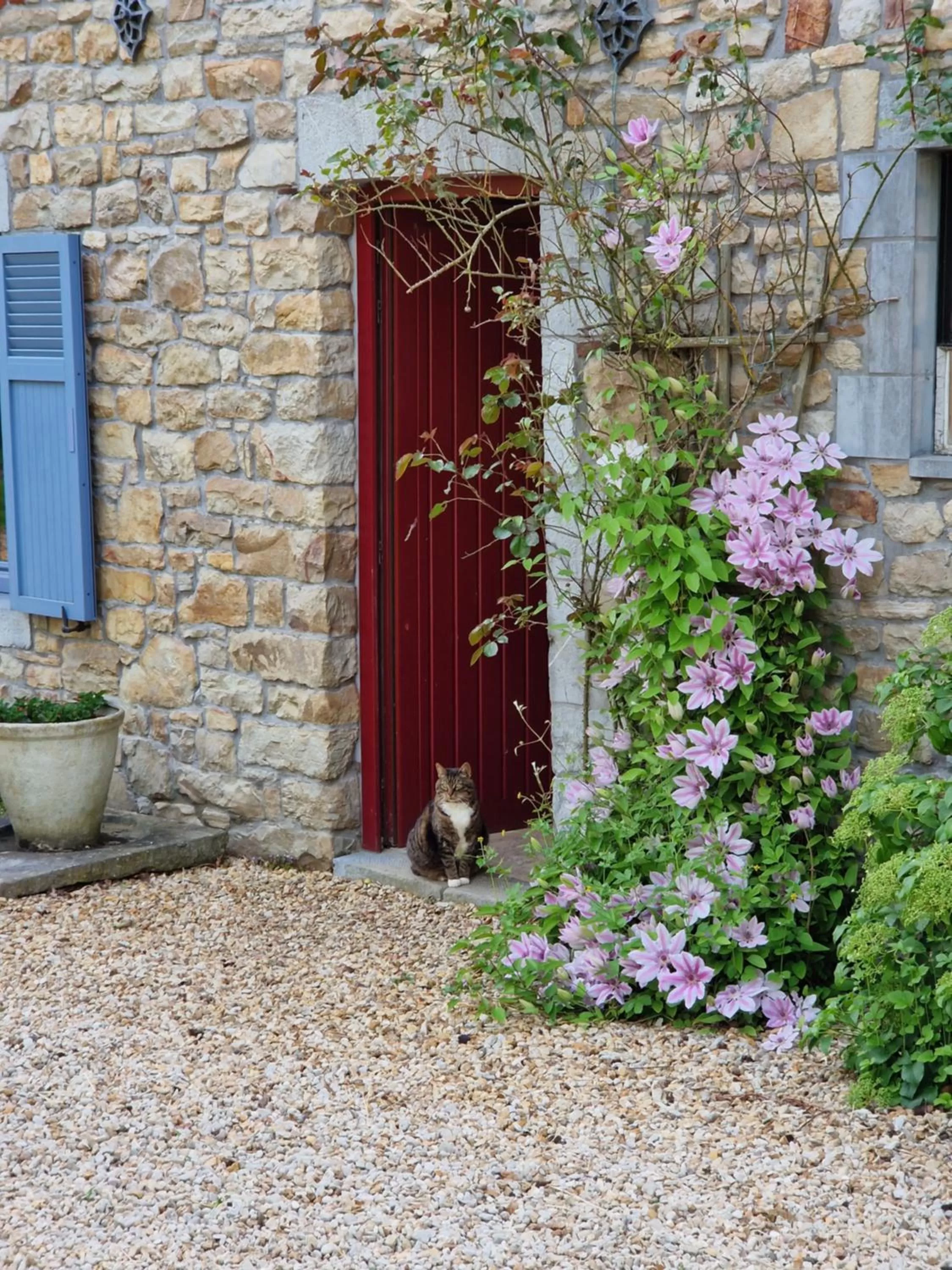 Property building in Habitat
