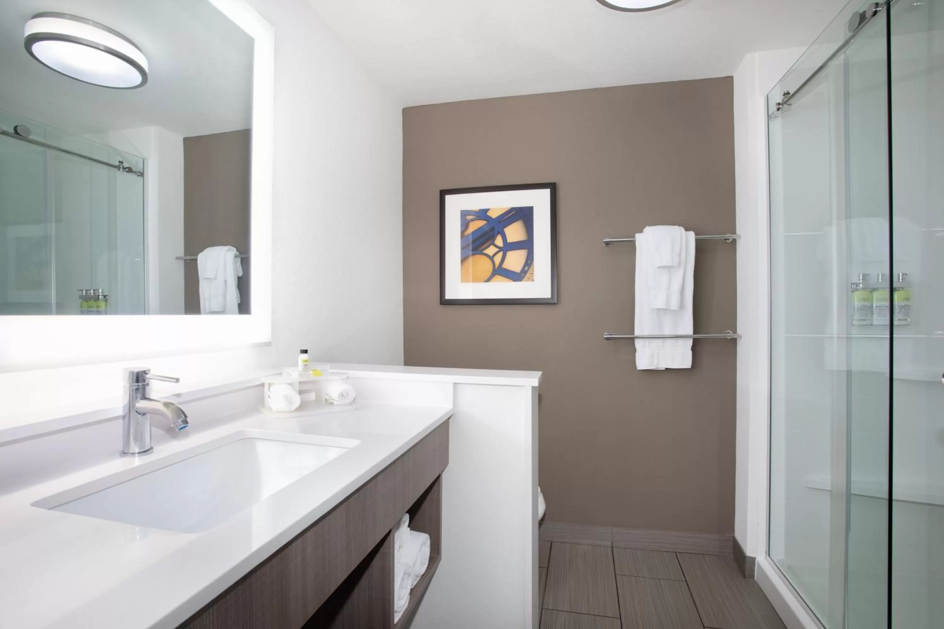 Bathroom in Holiday Inn Express & Suites Great Bend by IHG