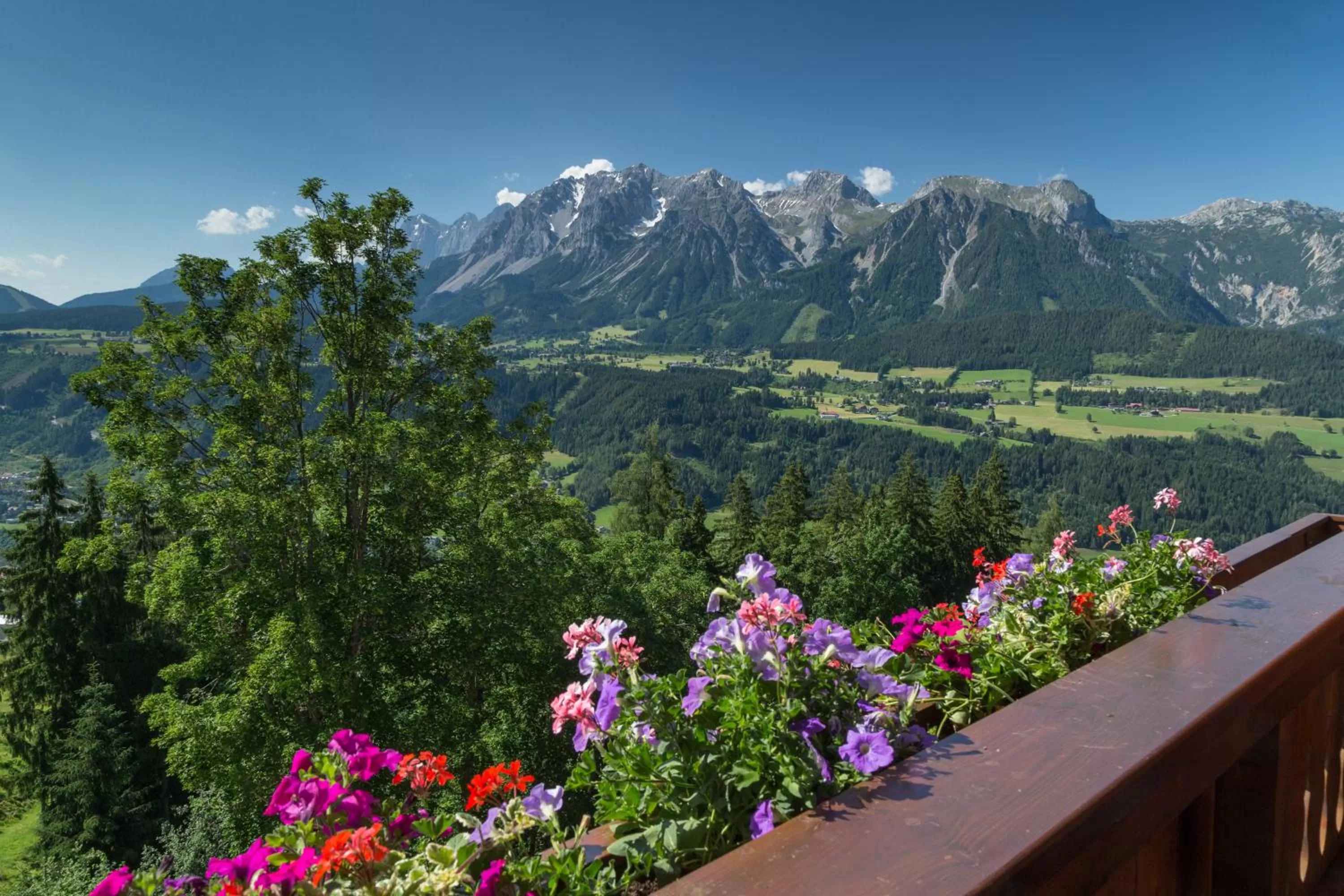 Mountain view in Hotel Schröckerhof