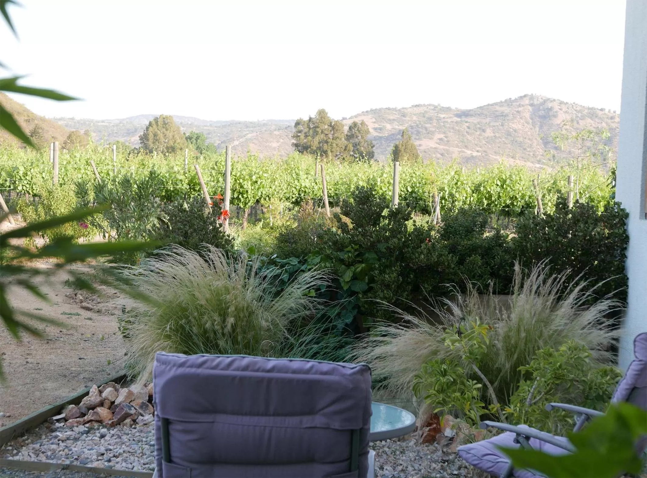 Balcony/Terrace in Callihue Lodge