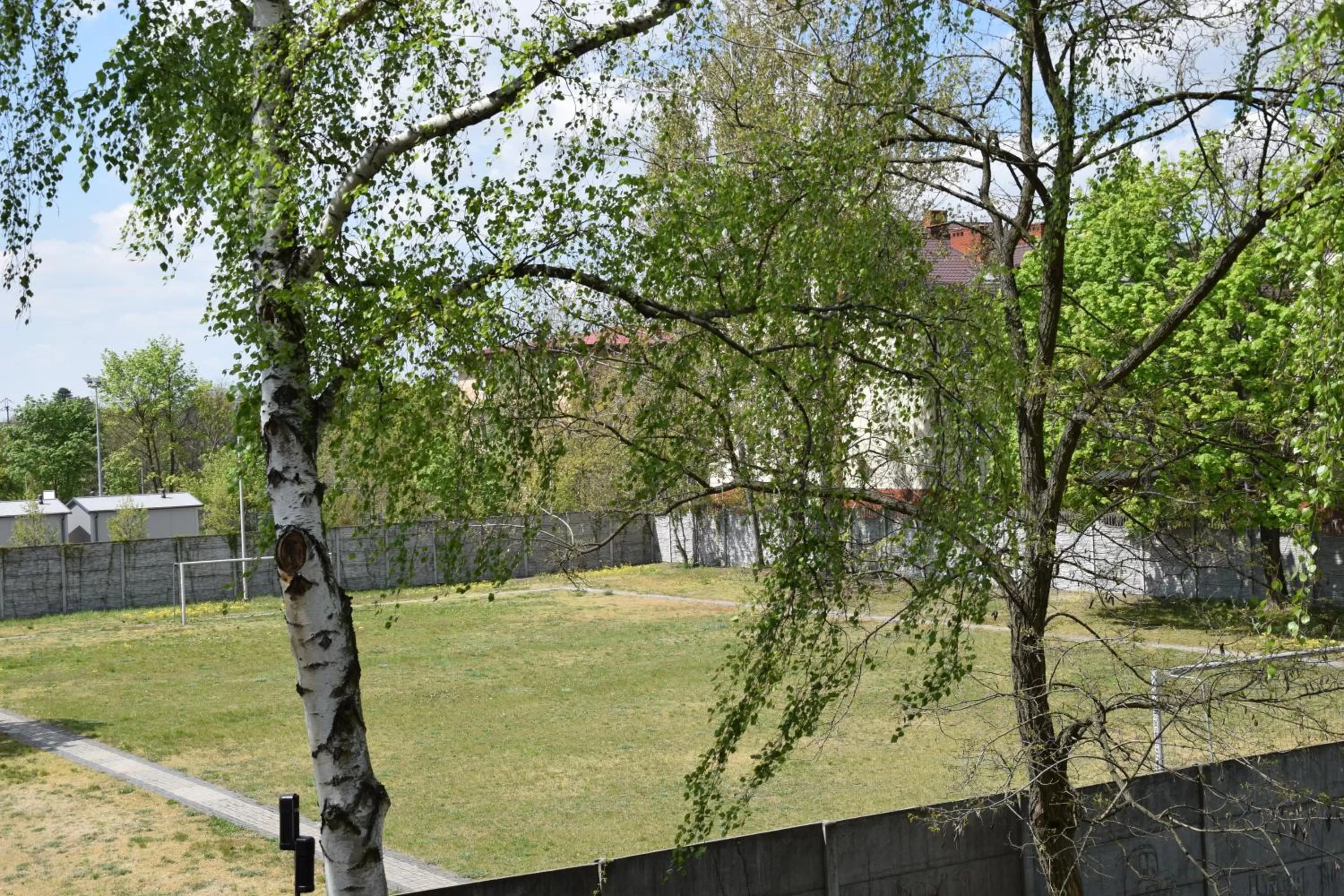 Garden view in Hotel Boss