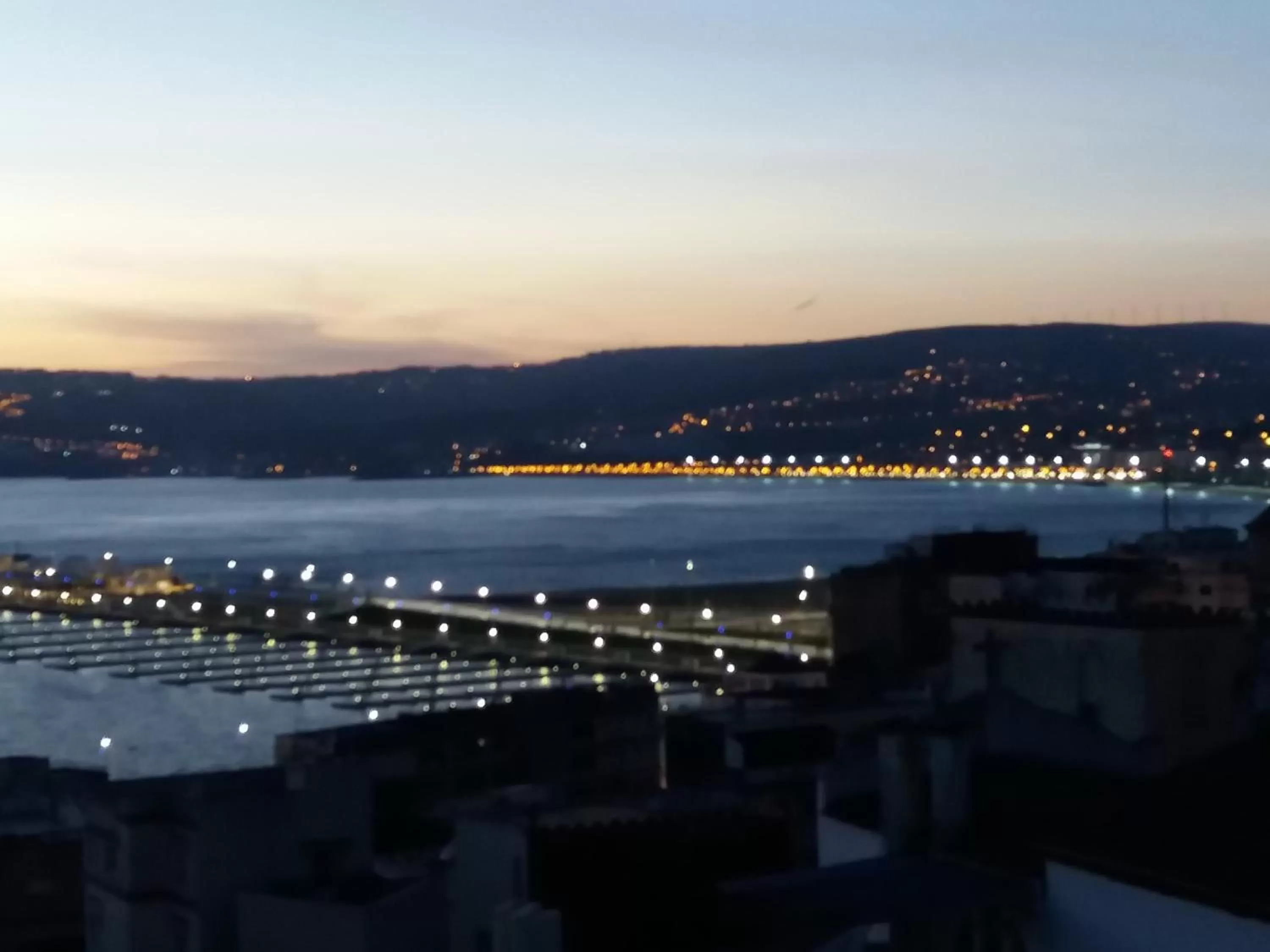 Hotel Le Gardenia (ex Lutetia)