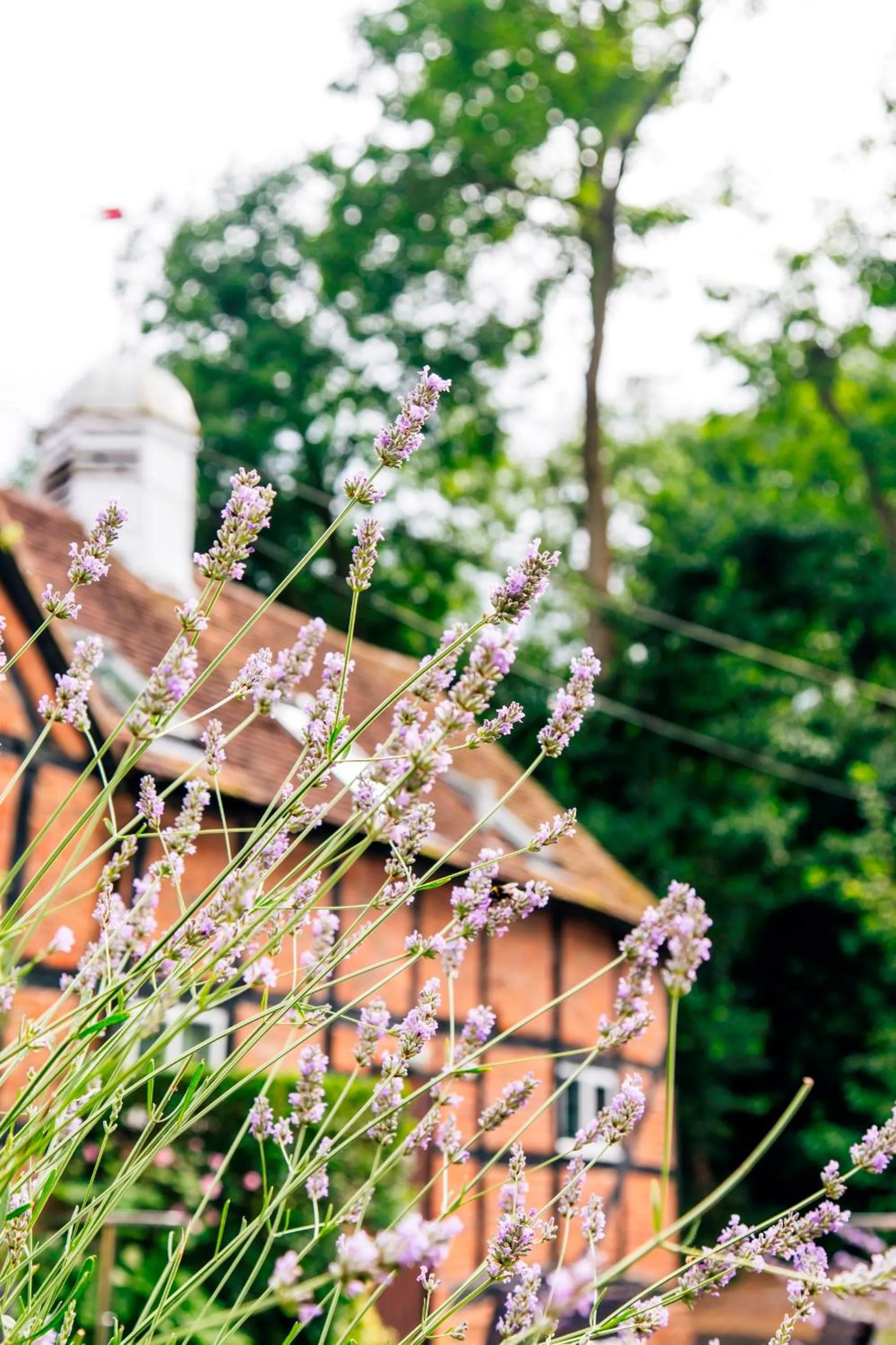 Property building in Old Rectory House, Redditch