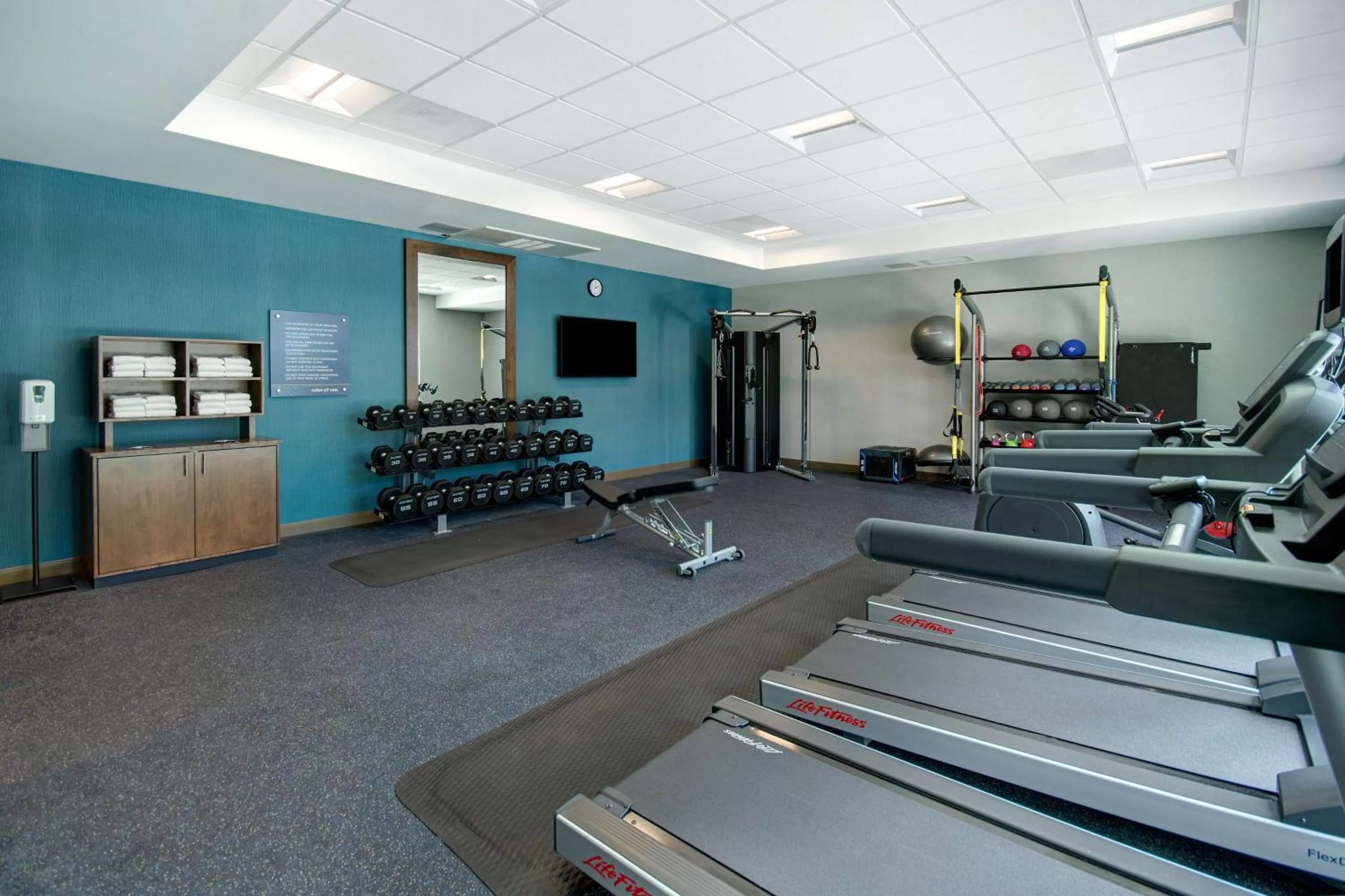 Fitness centre/facilities in Hampton Inn & Suites Sunnyvale-Silicon Valley, Ca