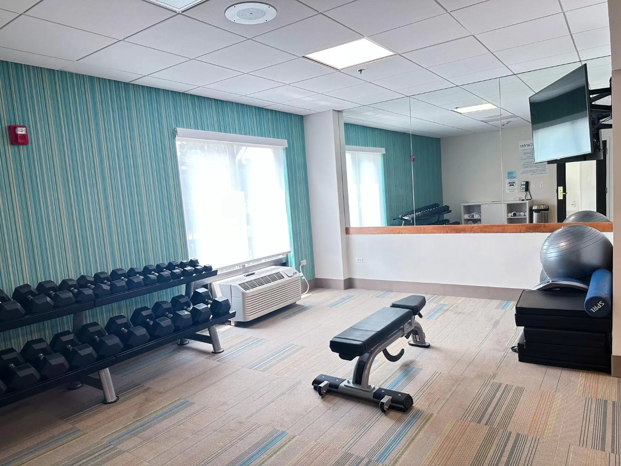 Fitness centre/facilities in Holiday Inn Express & Suites - Prospect Heights by IHG