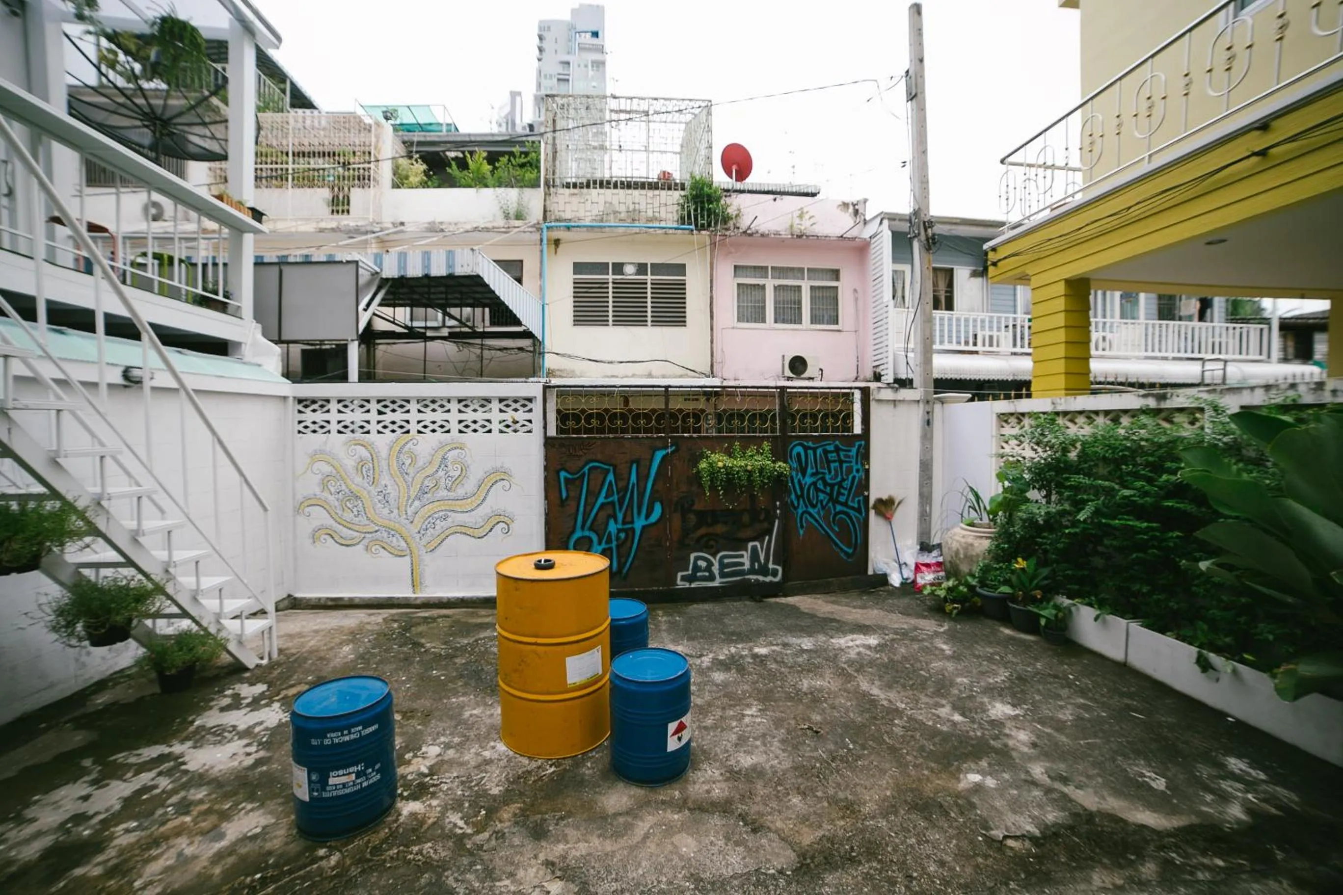 Garden in Diff Hostel