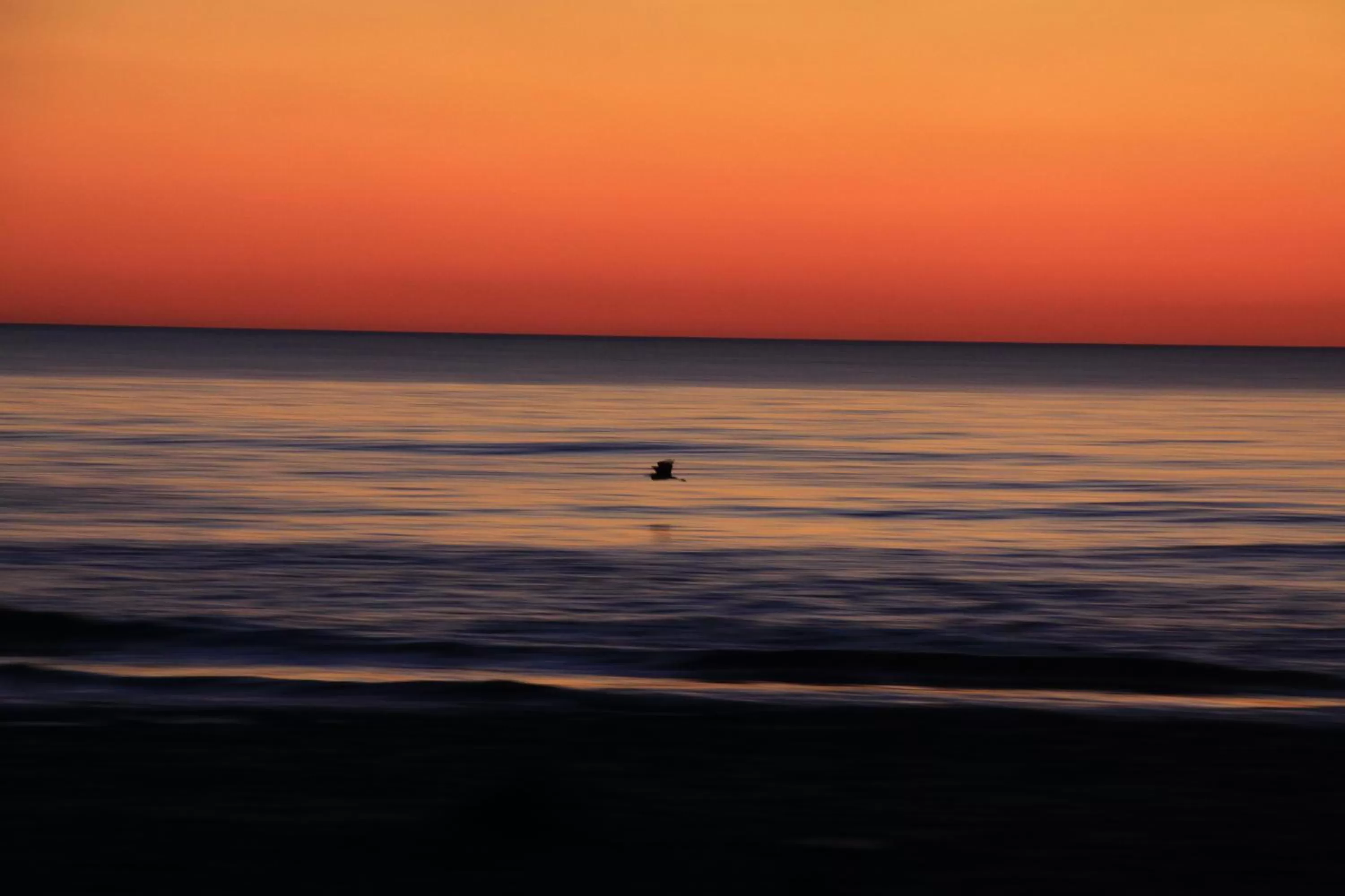 Natural landscape in Hotel Villa Barsanti