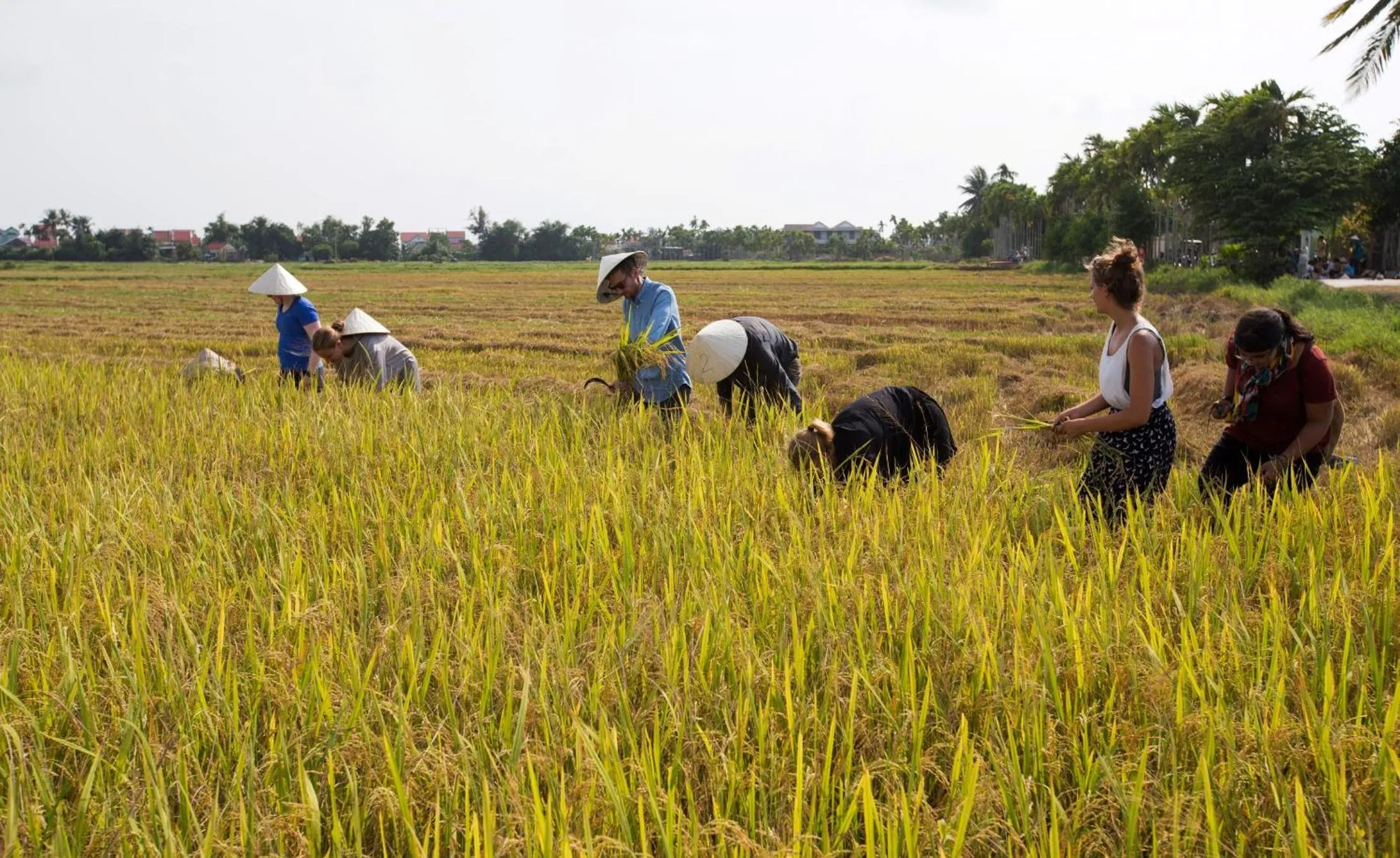Activities in Quynh Chau Homestay Hội An