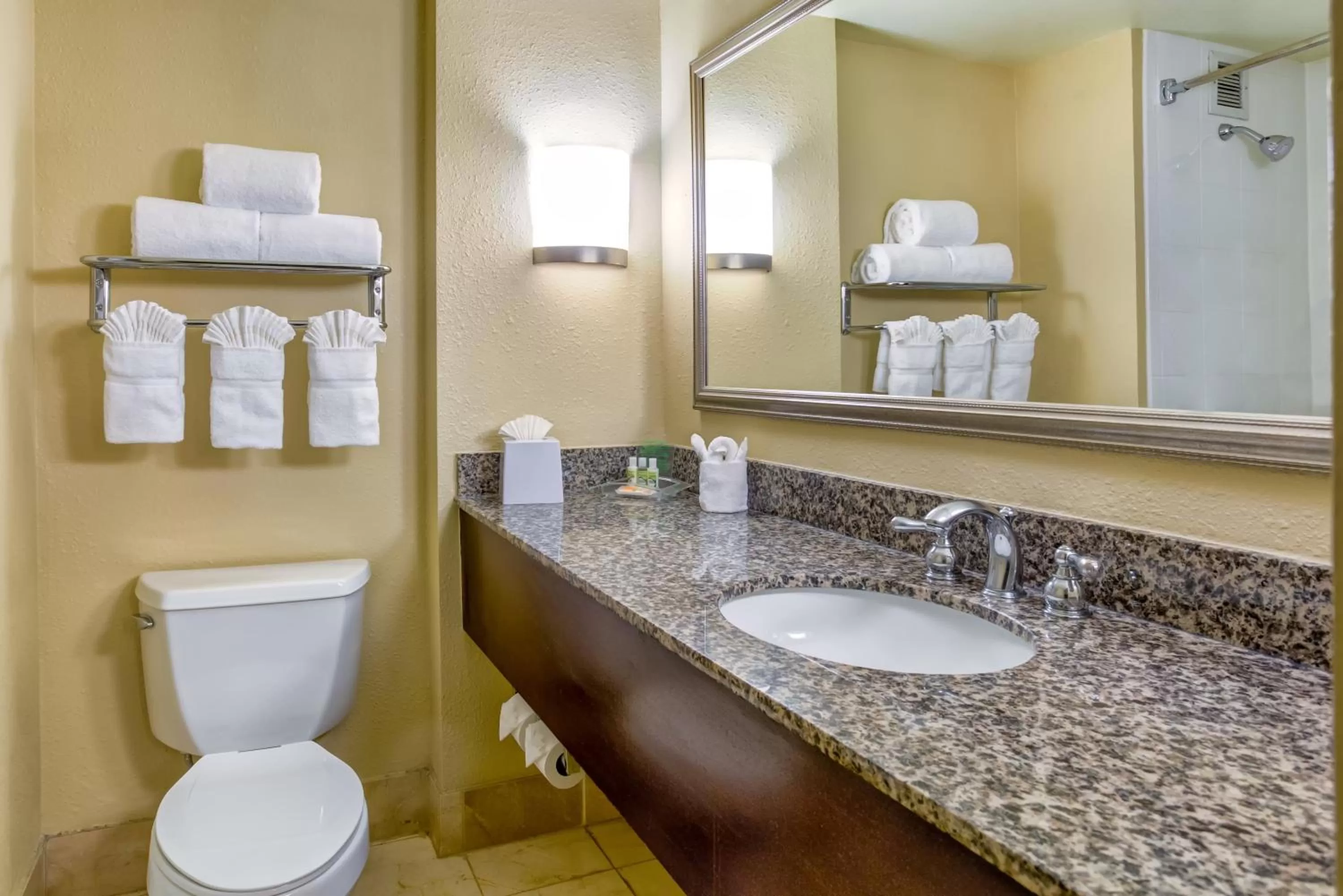 Bathroom in Holiday Inn Indianapolis North-Carmel by IHG