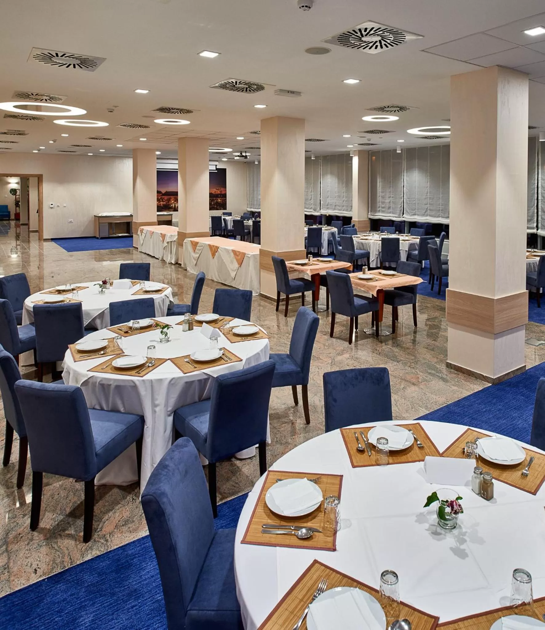 Restaurant/Places to Eat in Hotel Europa