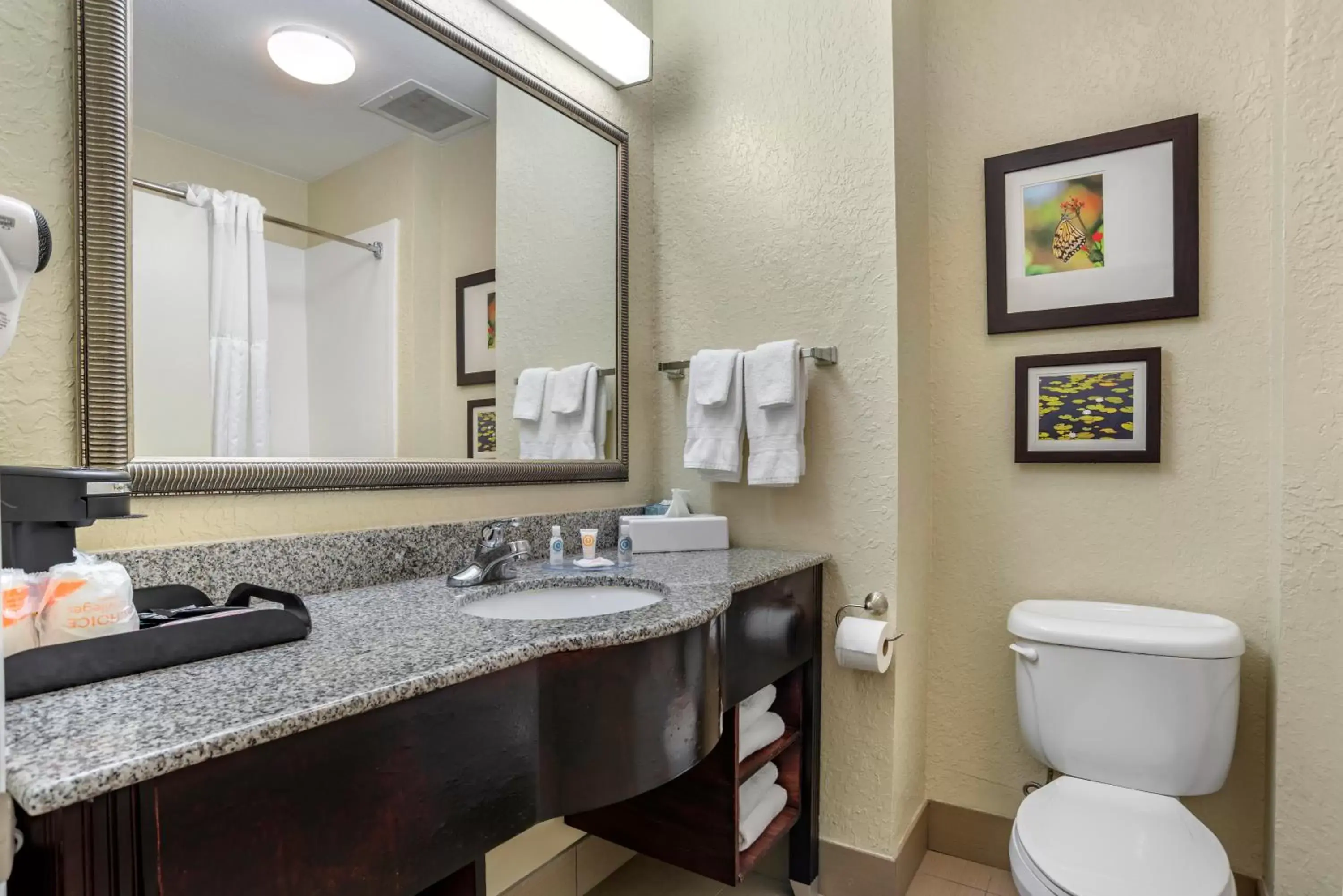 Queen Room with Two Queen Beds - Accessible/Non-Smoking in Comfort Inn & Suites Marianna I-10 Queen Room with Two Queen Beds - Accessible/Non-Smoking in Comfort Inn & Suites Marianna I-10